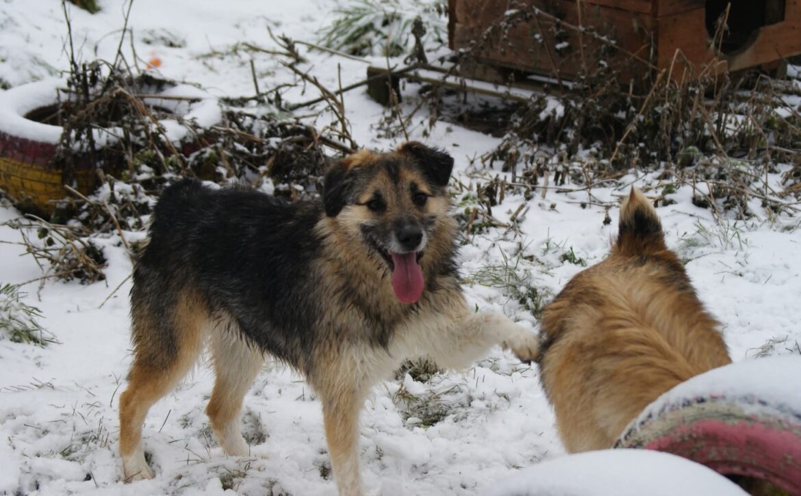 Miro de la Casa lui Patrocle 1