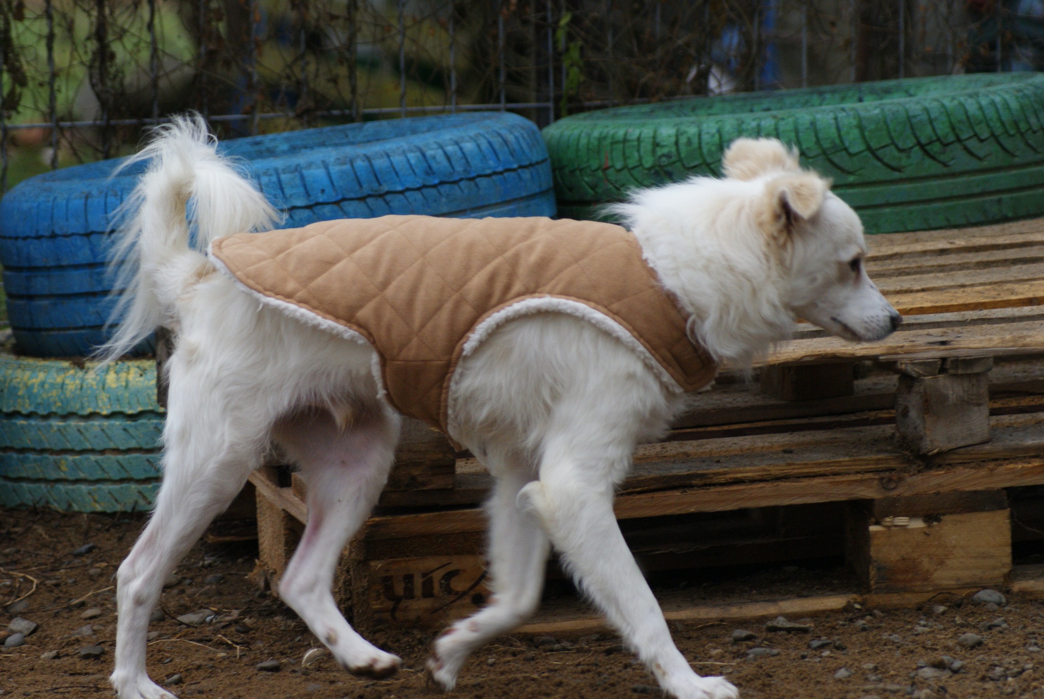 Murphy Casa lui Patrocle 3