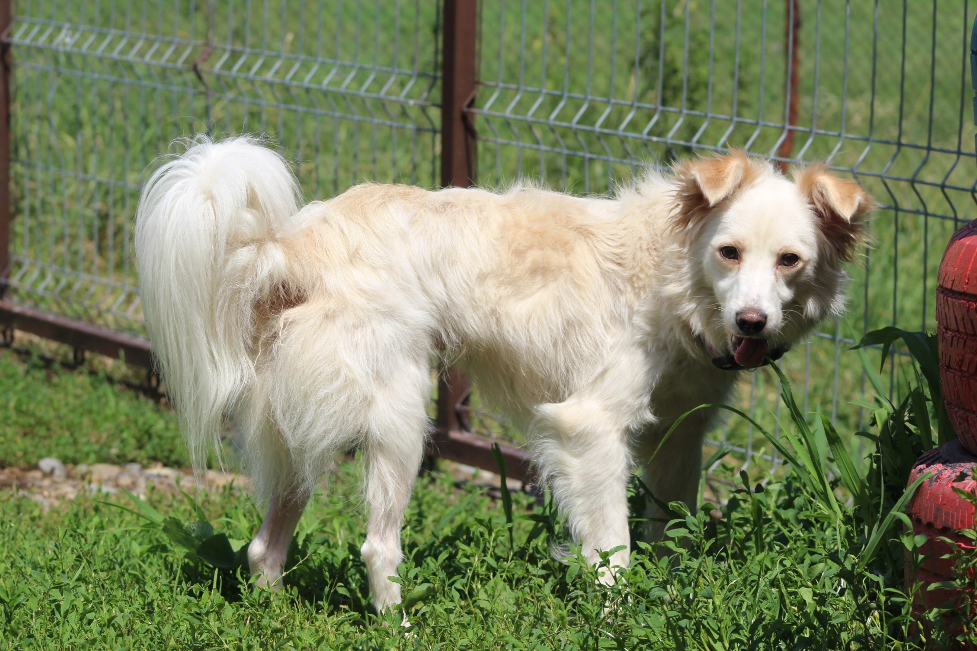 Murphy Casa lui Patrocle 5