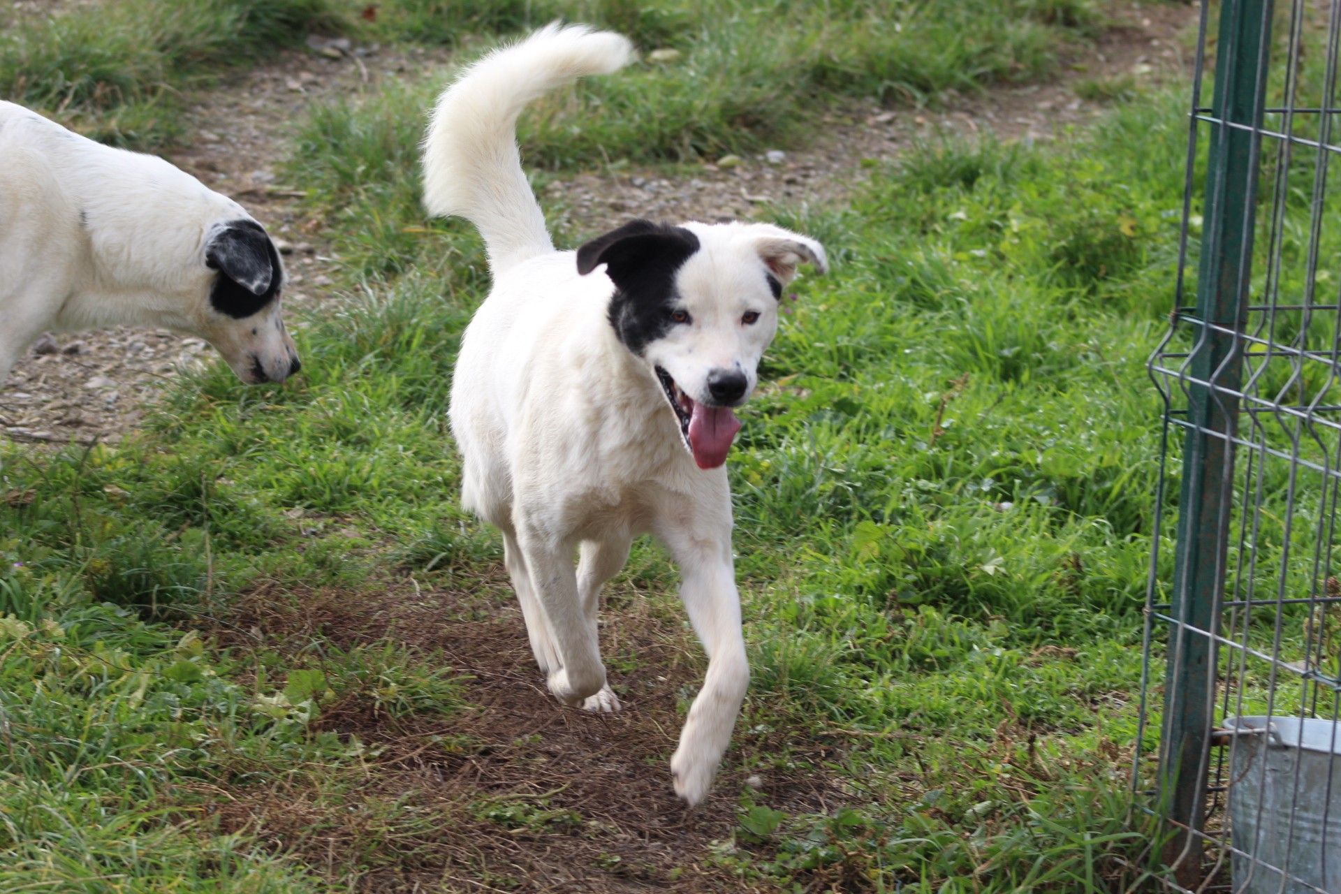 Nando Casa lui Patrocle 6