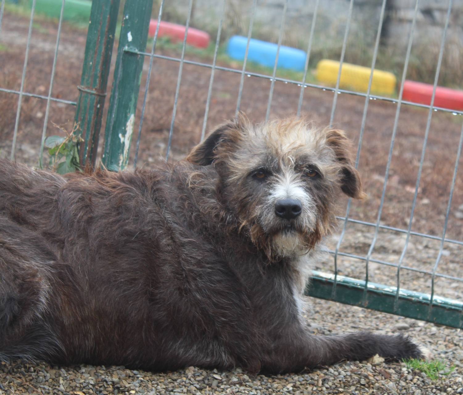 Negruta Casa lui Patrocle 2