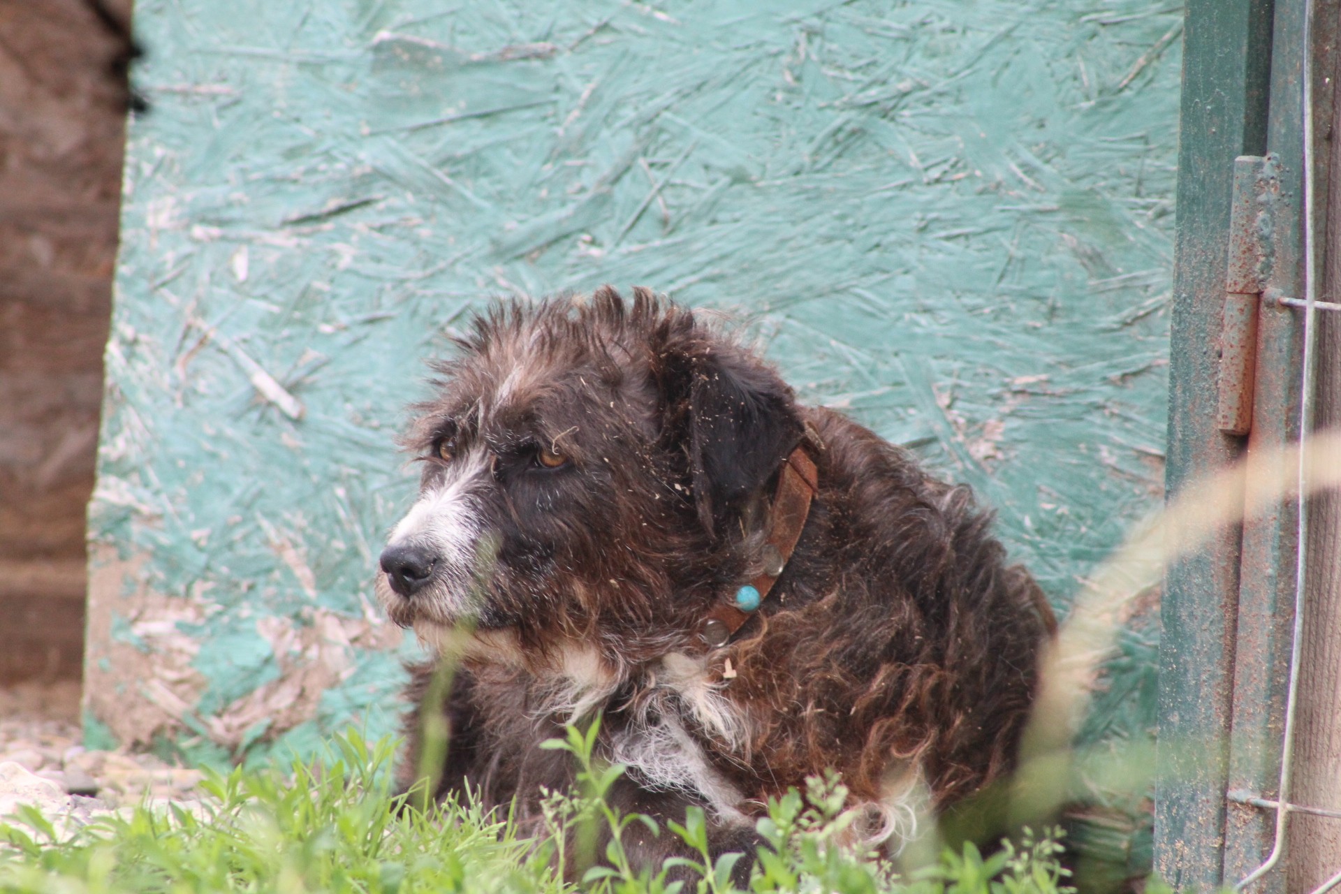 Negruta Casa lui Patrocle 5