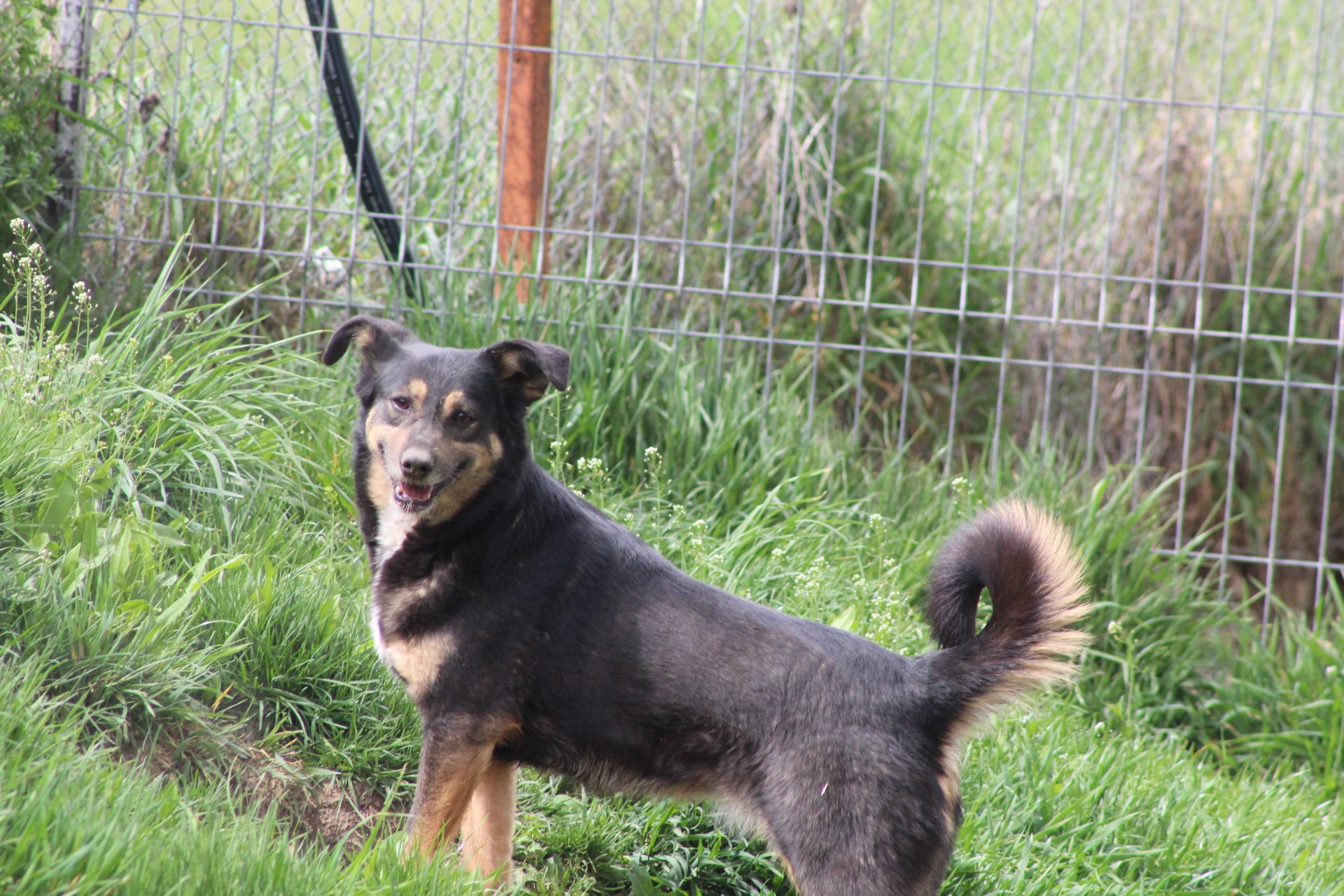 Nevia Casa lui Patrocle 3