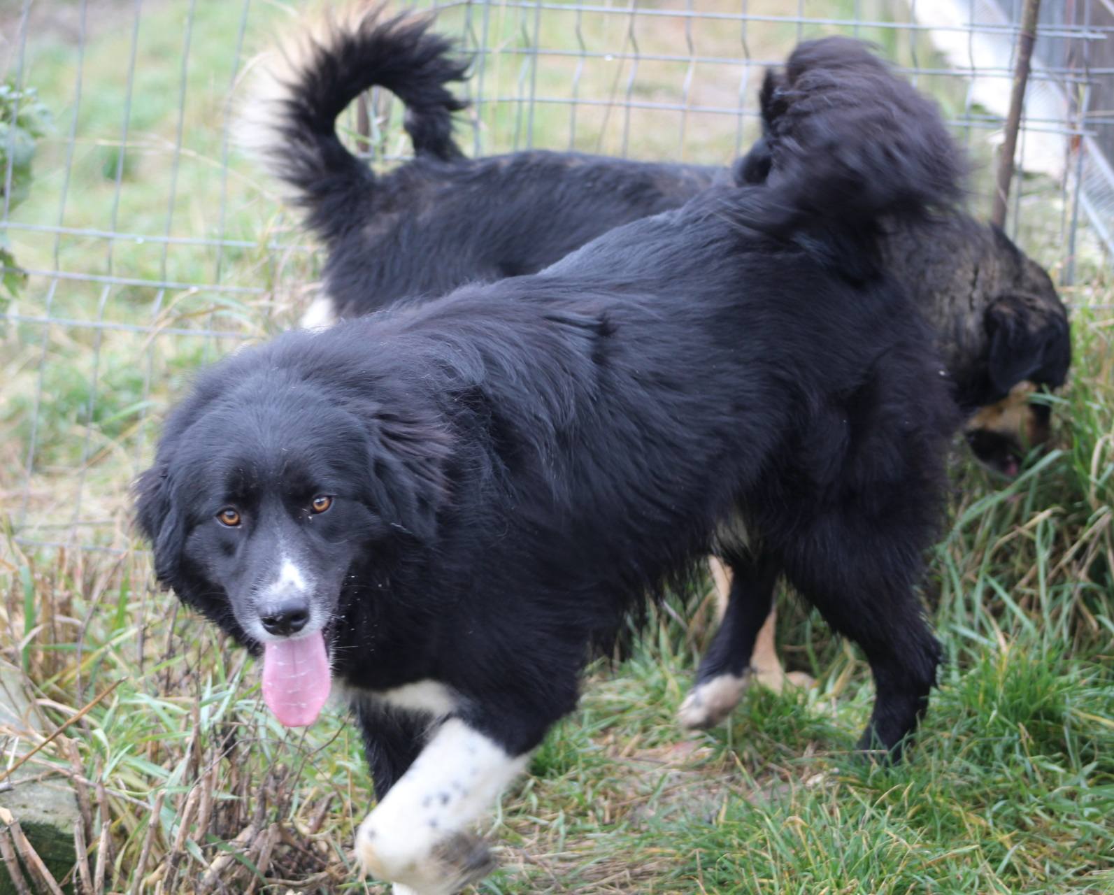 Nick Casa lui Patrocle 2