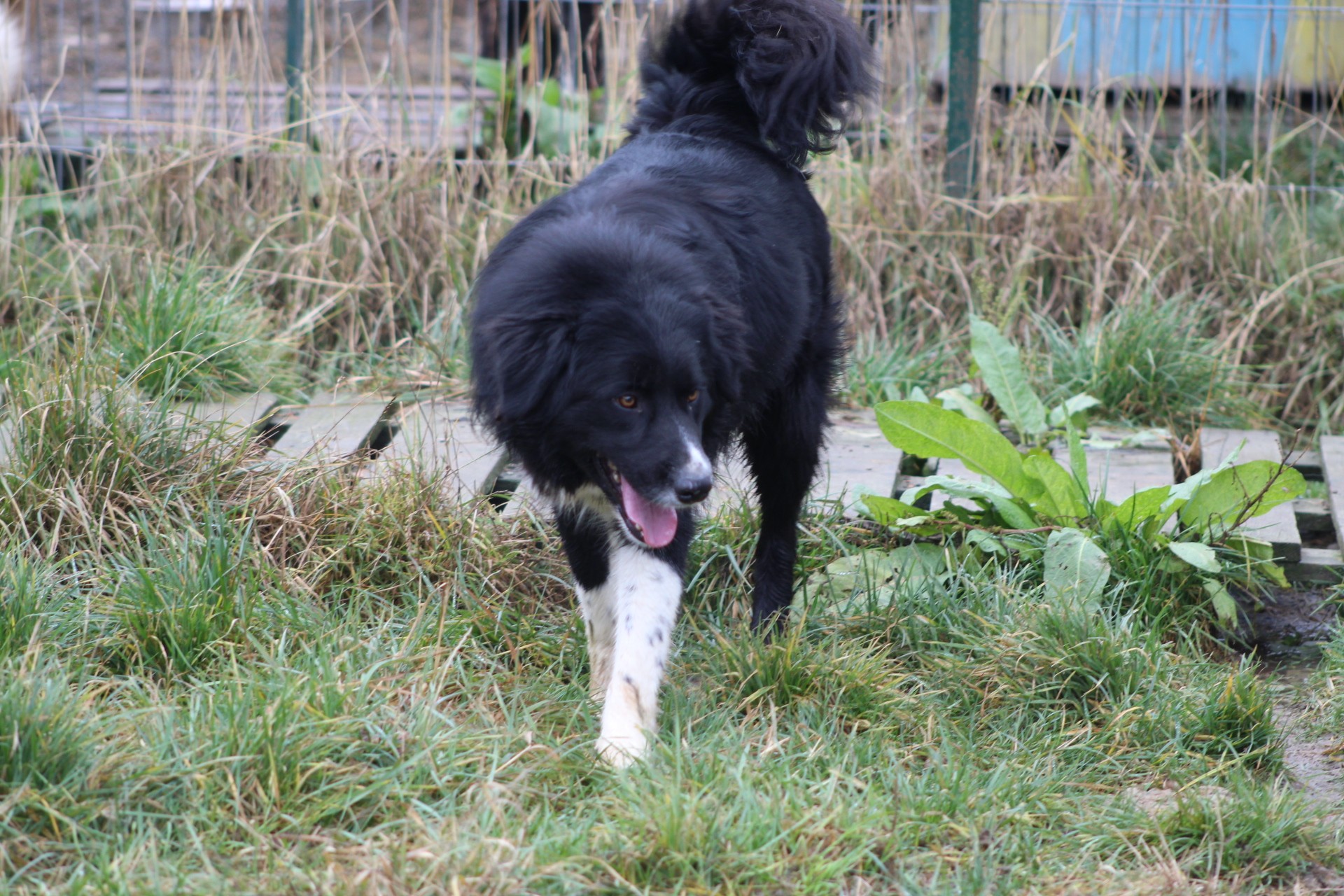 Nick Casa lui Patrocle 3