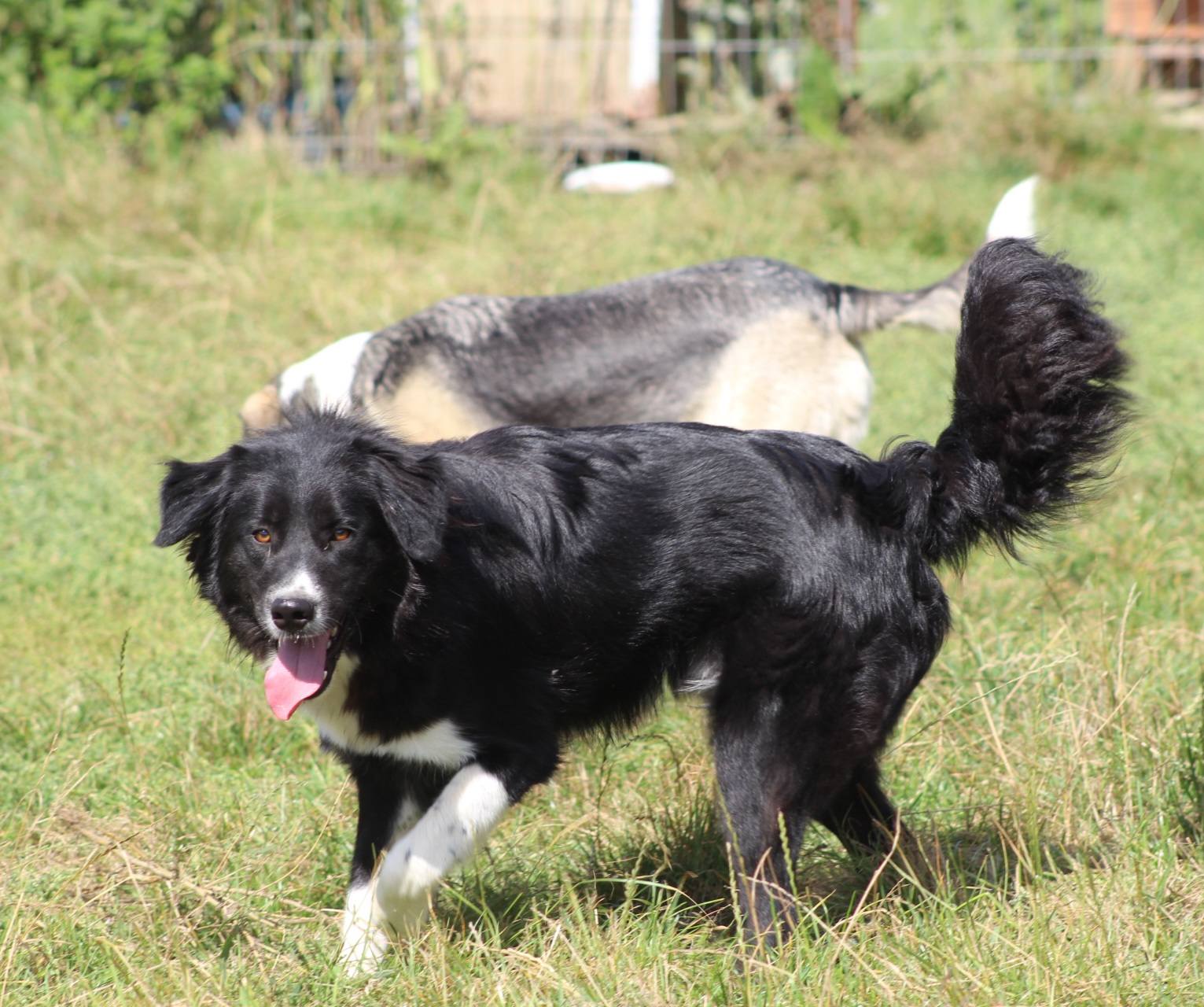 Nick Casa lui Patrocle 4