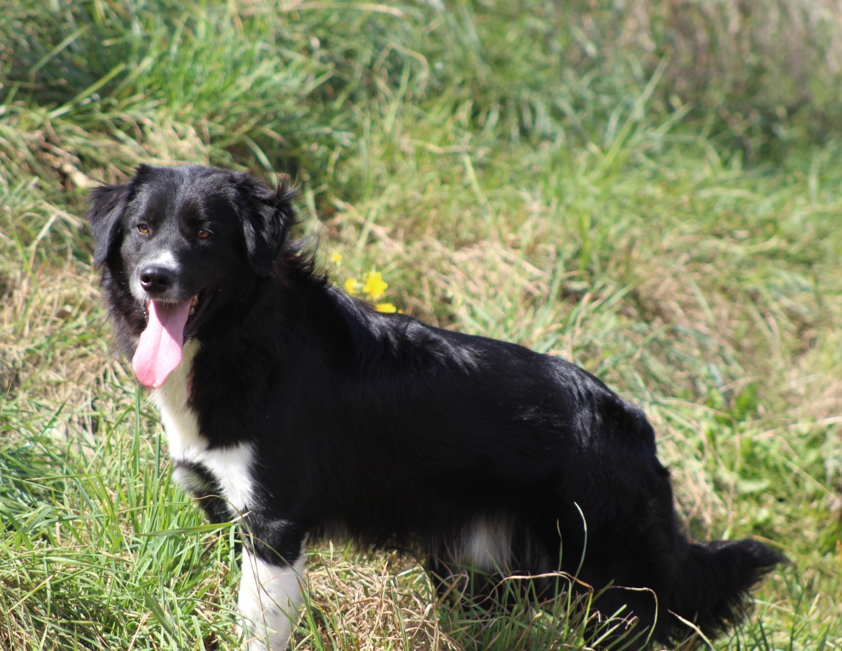 Nick Casa lui Patrocle 5