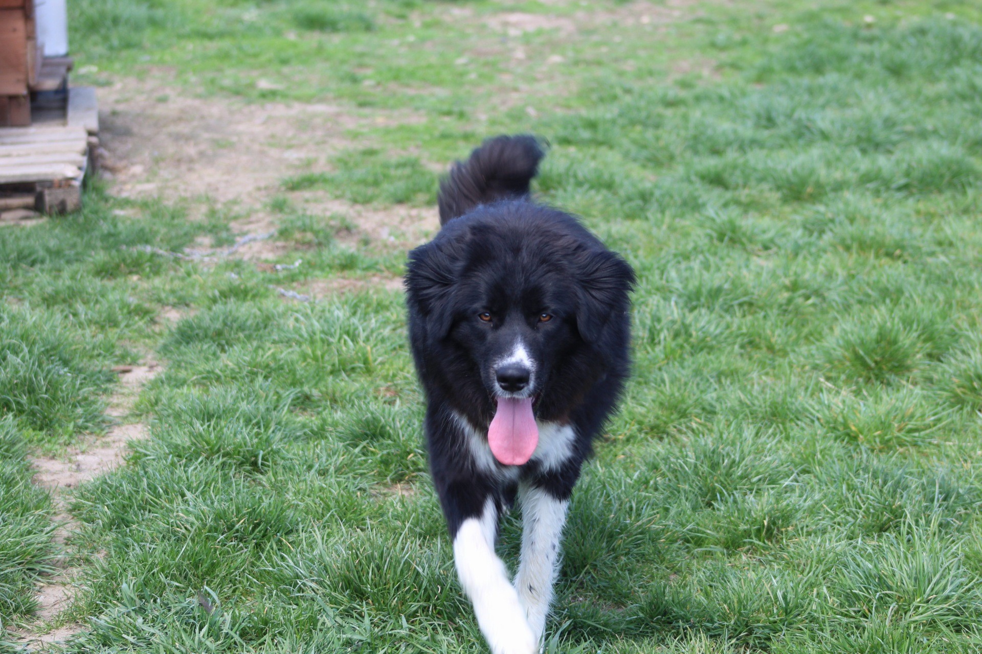 Nick Casa lui Patrocle 6