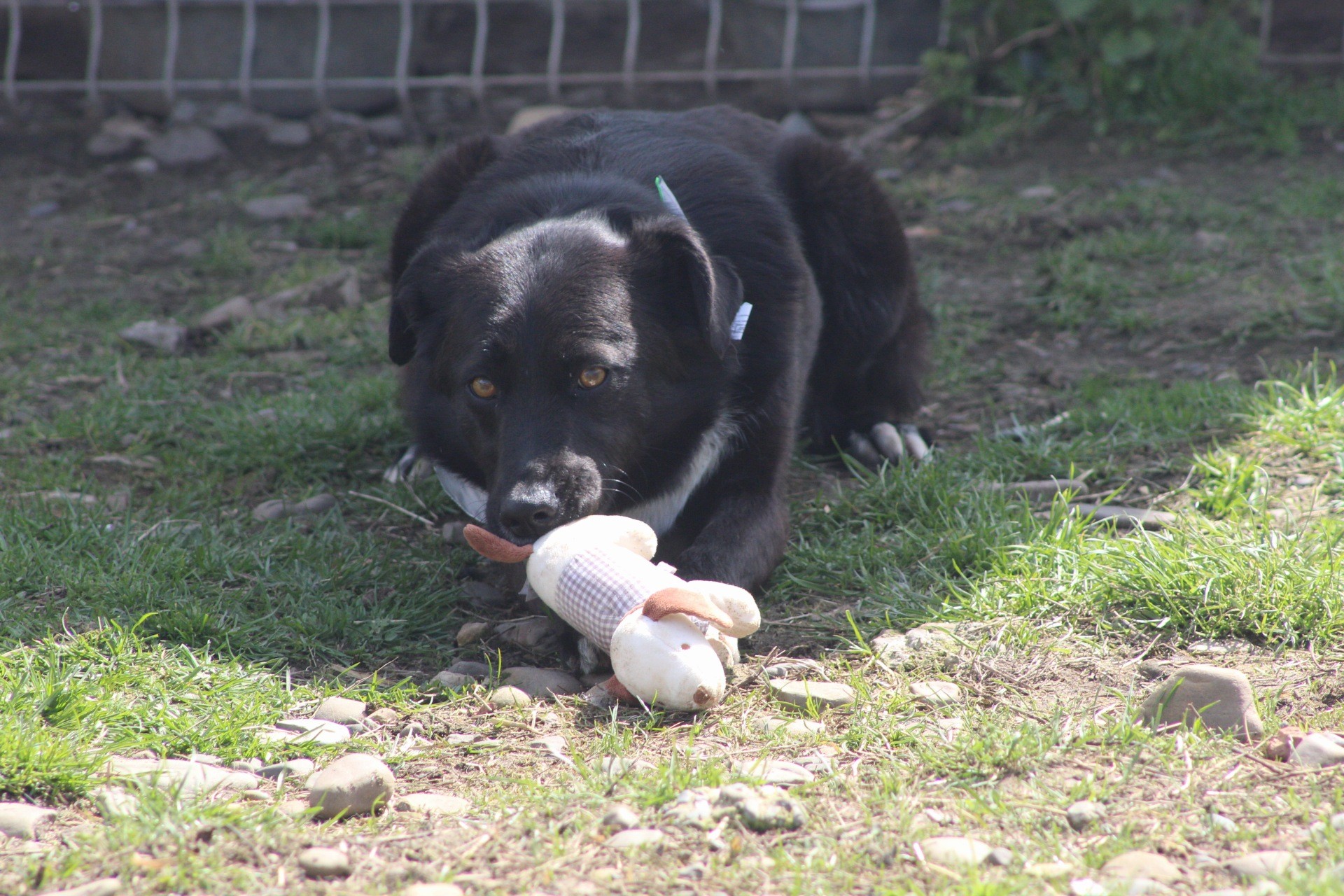 Nisha Casa lui Patrocle 2