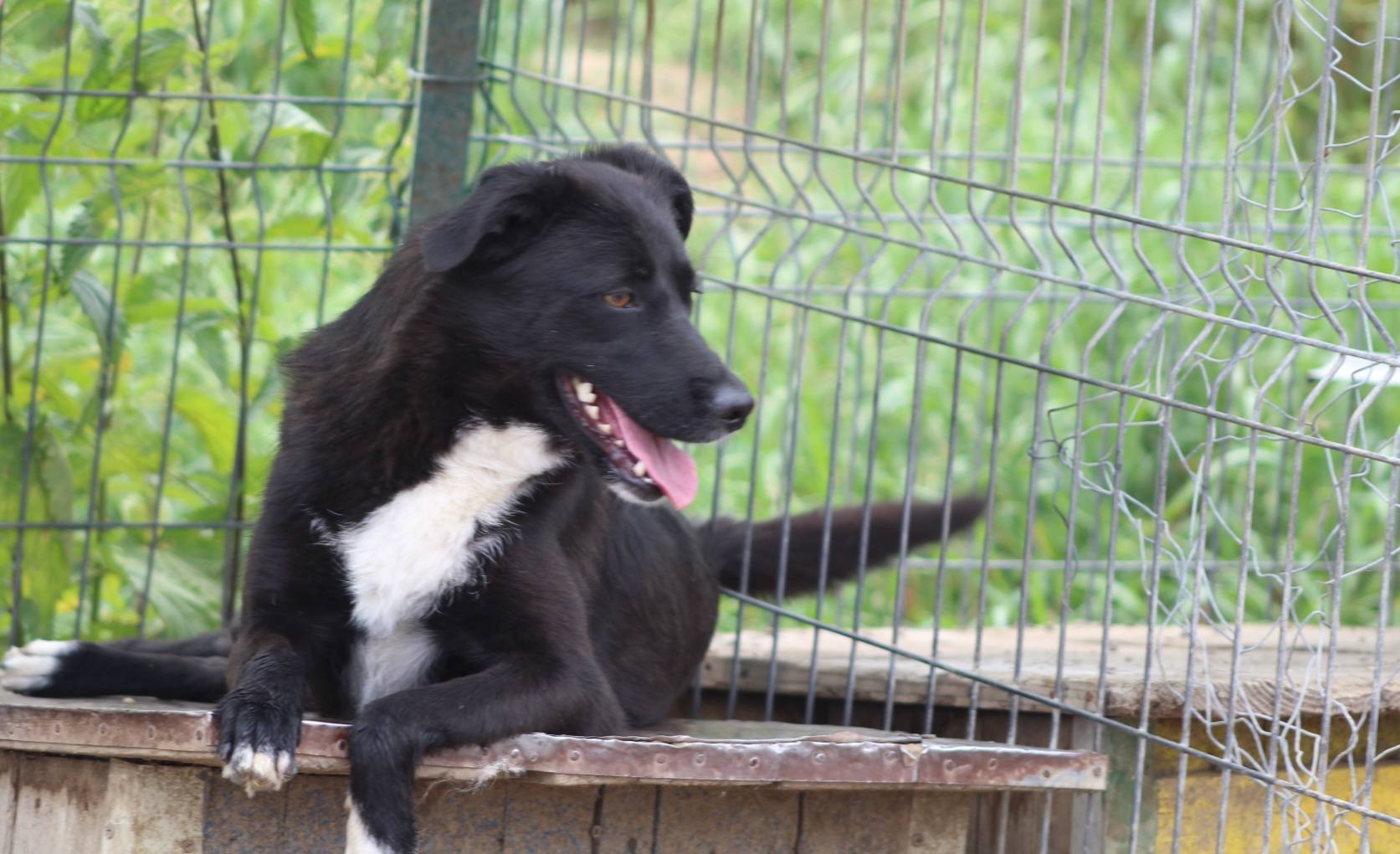 Nisha Casa lui Patrocle 4