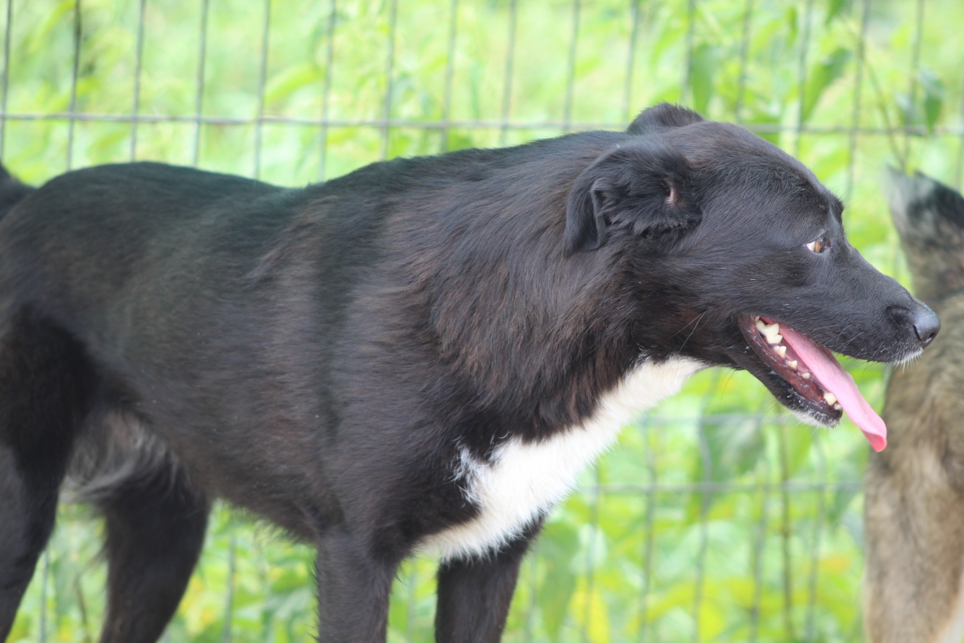 Nisha Casa lui Patrocle 5