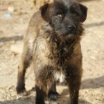 Noni: 3 ani în spatele gratiilor – când are voie să trăiască în sfârșit?