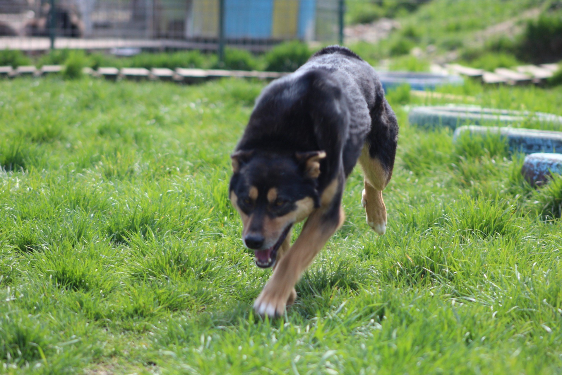 Novan Casa lui Patrocle 3