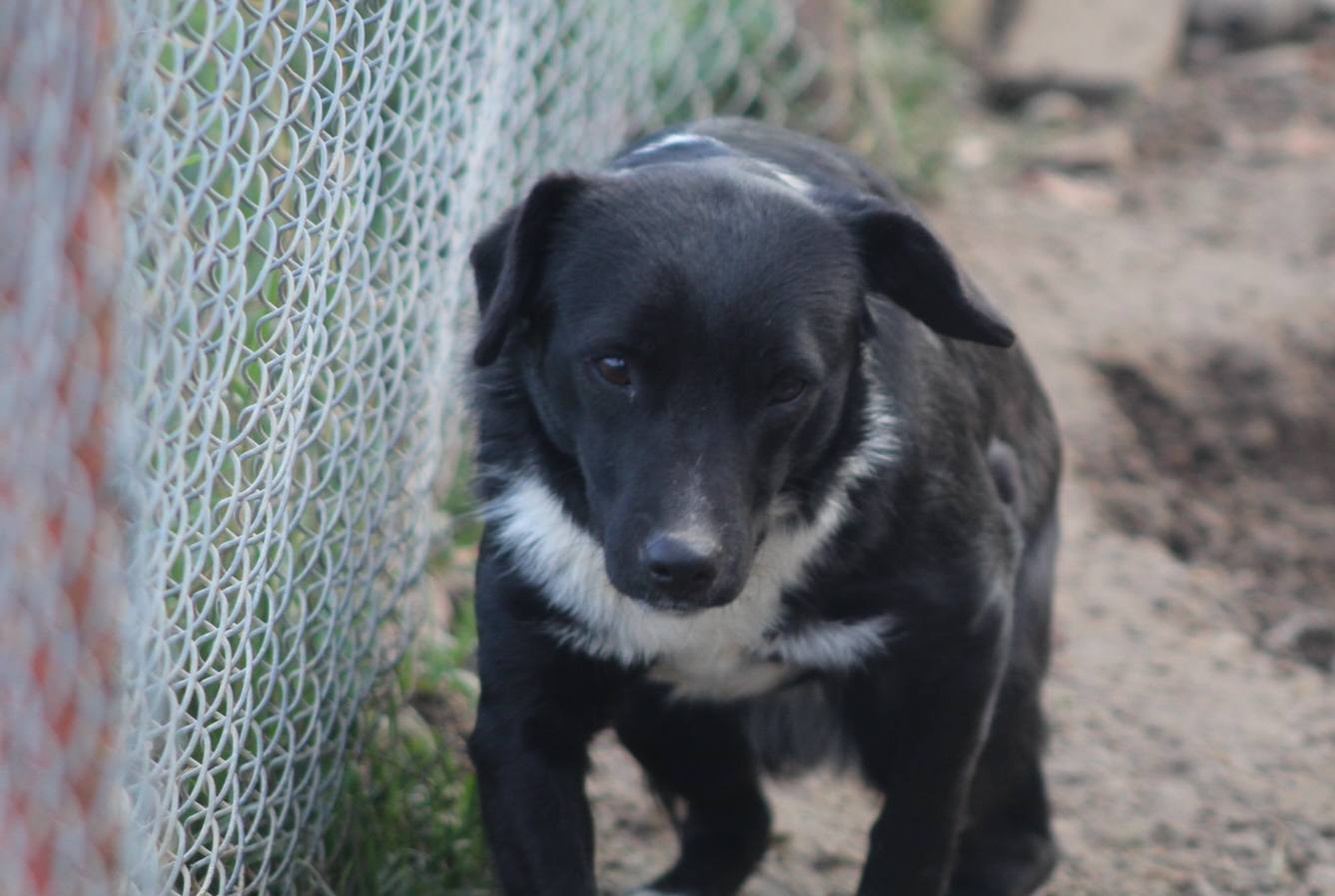 Nuti Casa lui Patrocle 3