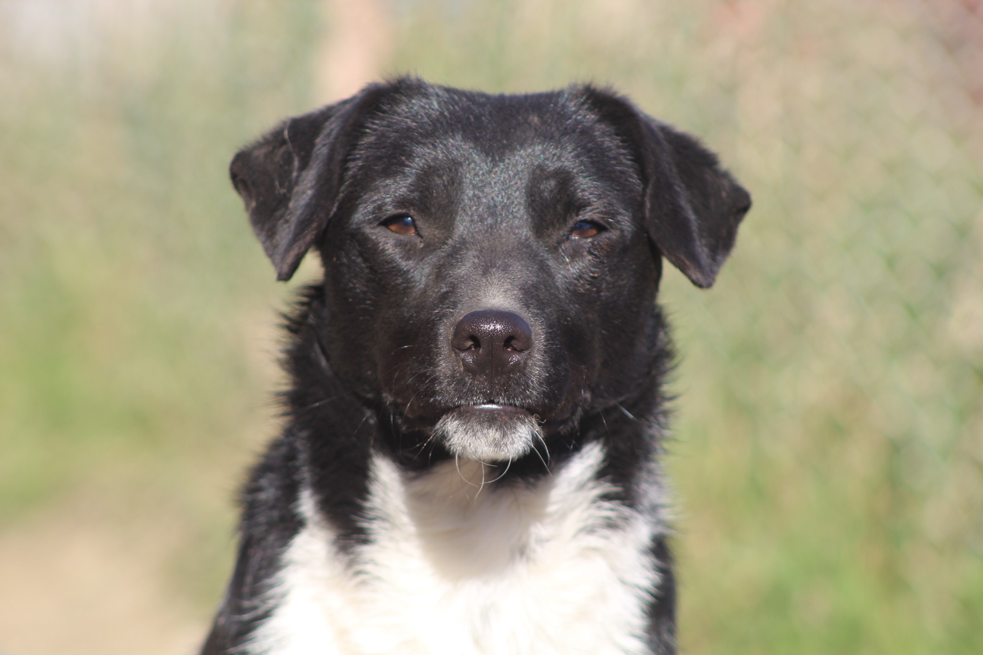 Nuti Casa lui Patrocle 4