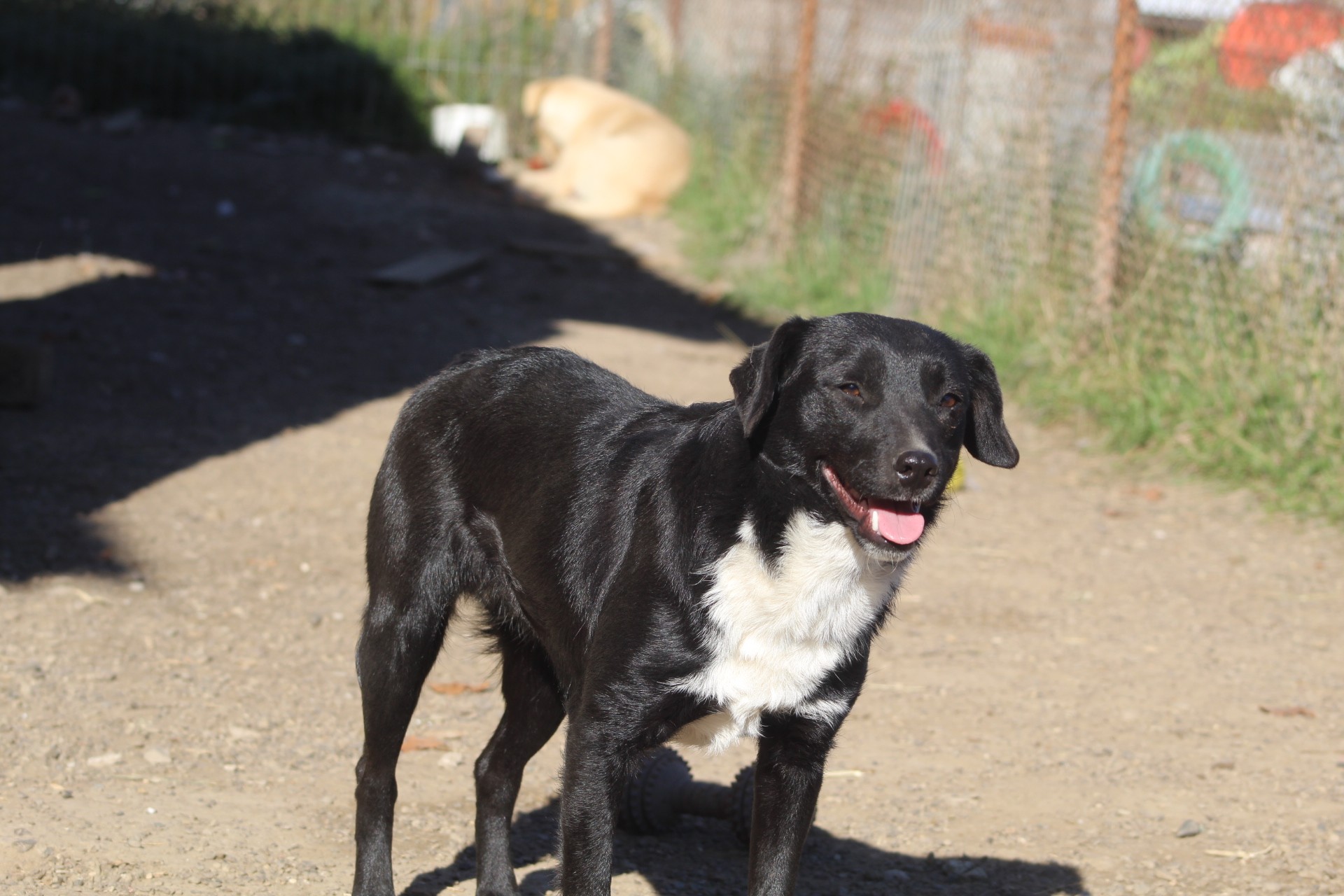 Nuti Casa lui Patrocle 5