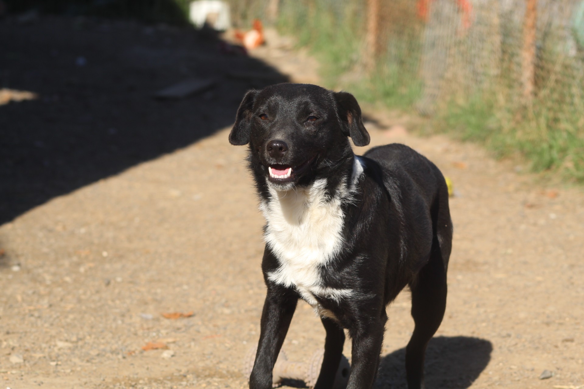 Nuti Casa lui Patrocle 6