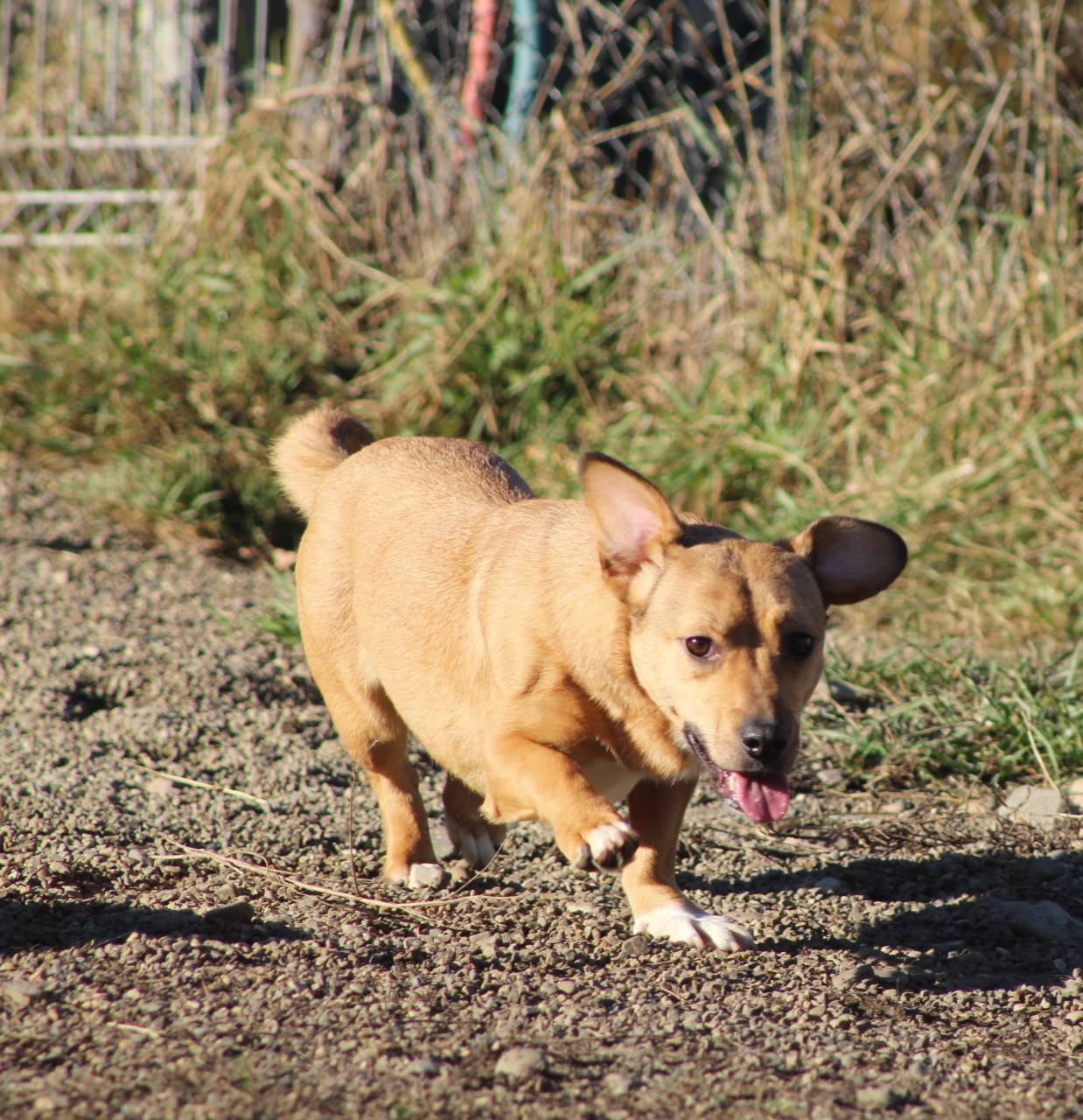 Odette Casa lui Patrocle 3