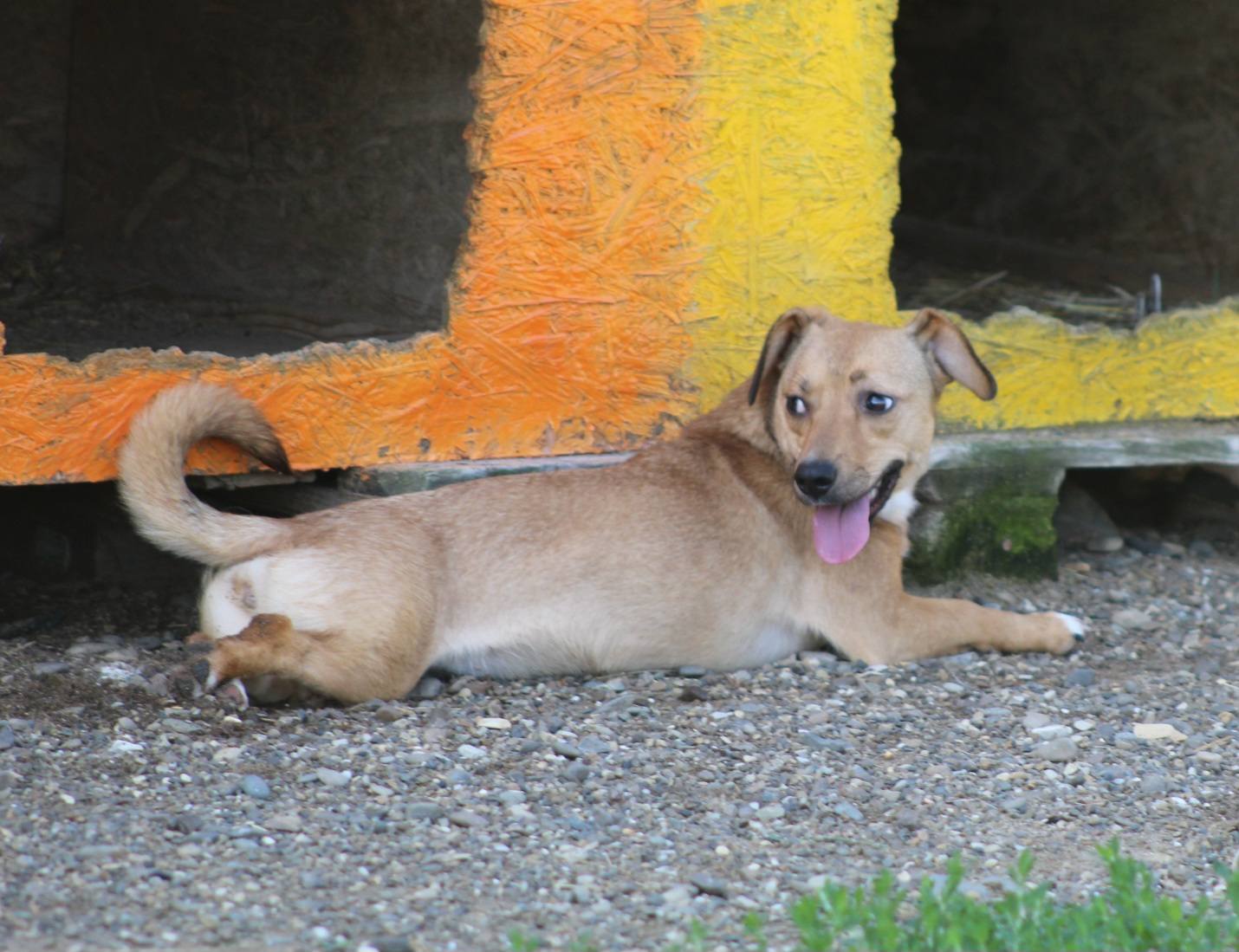 Odette Casa lui Patrocle 5