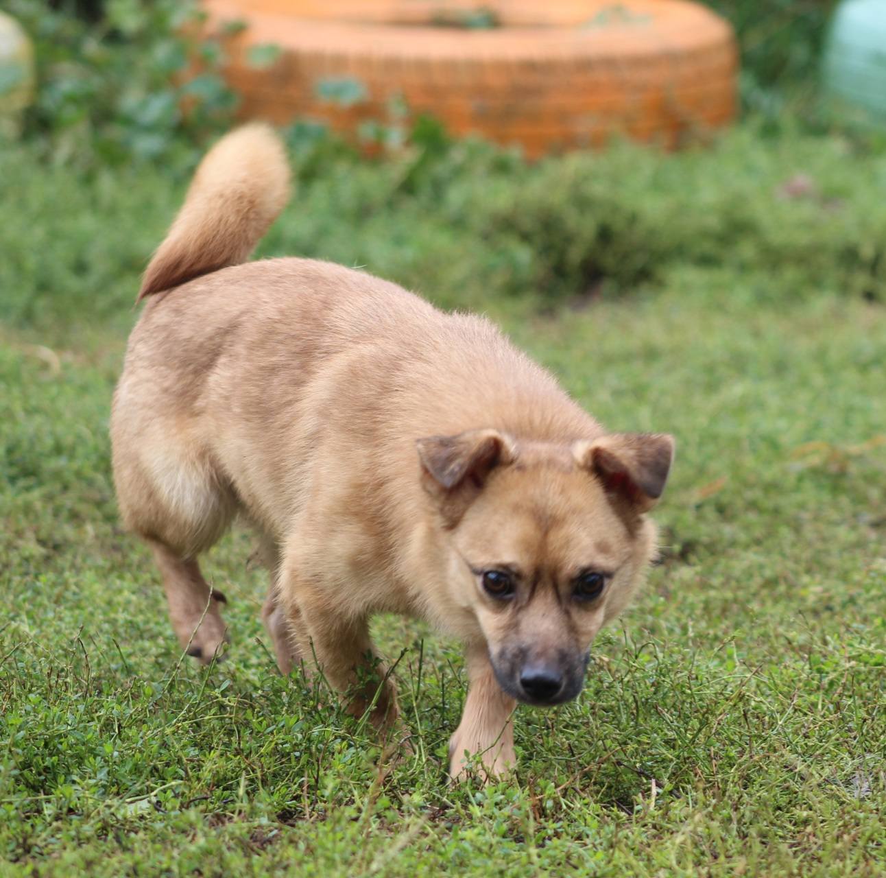 Oscar Casa lui Patrocle 2