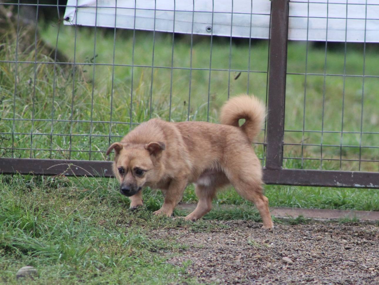 Oscar Casa lui Patrocle 5