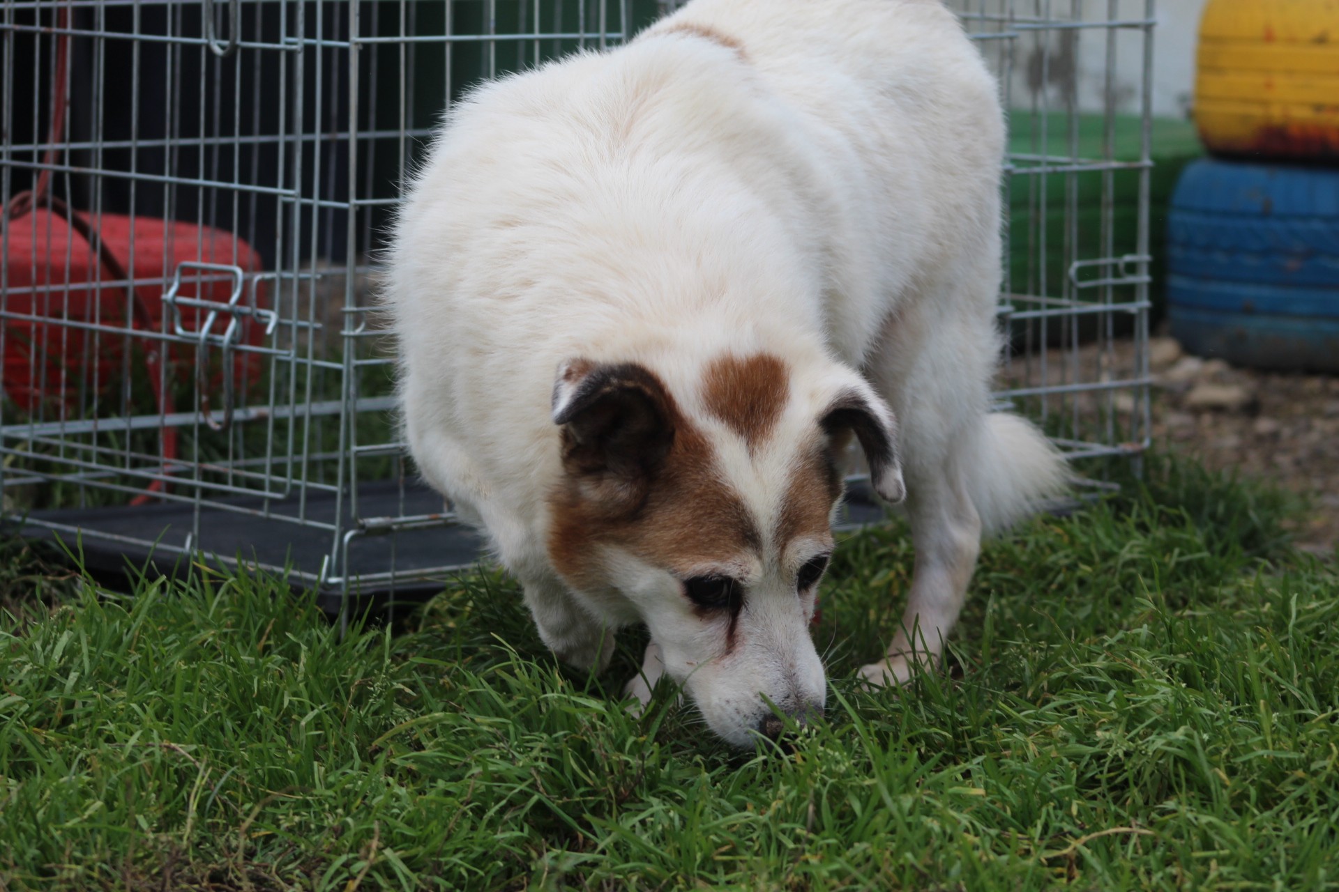 Paulo Casa lui Patrocle 2