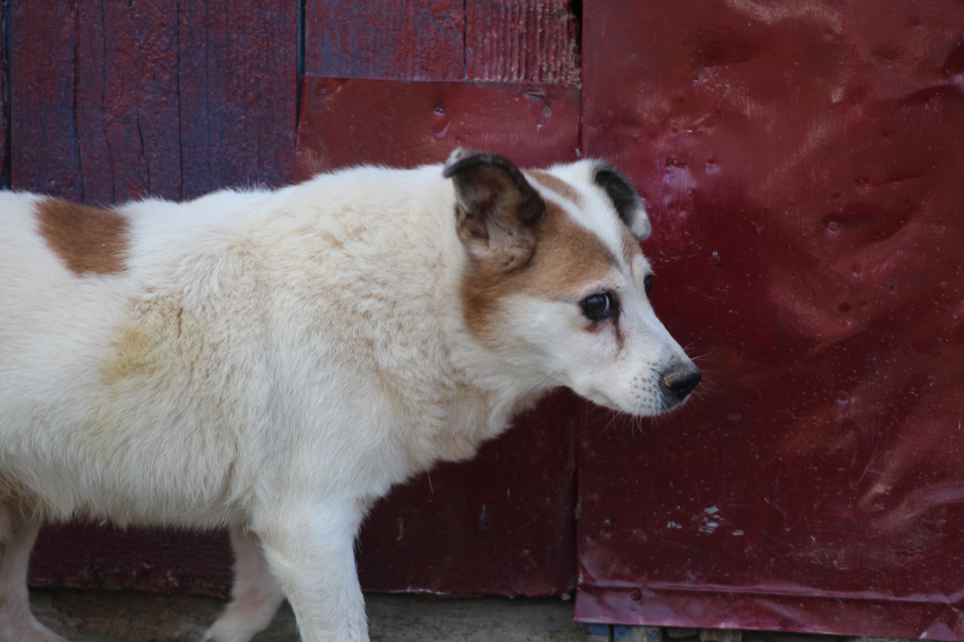 Paulo Casa lui Patrocle 3