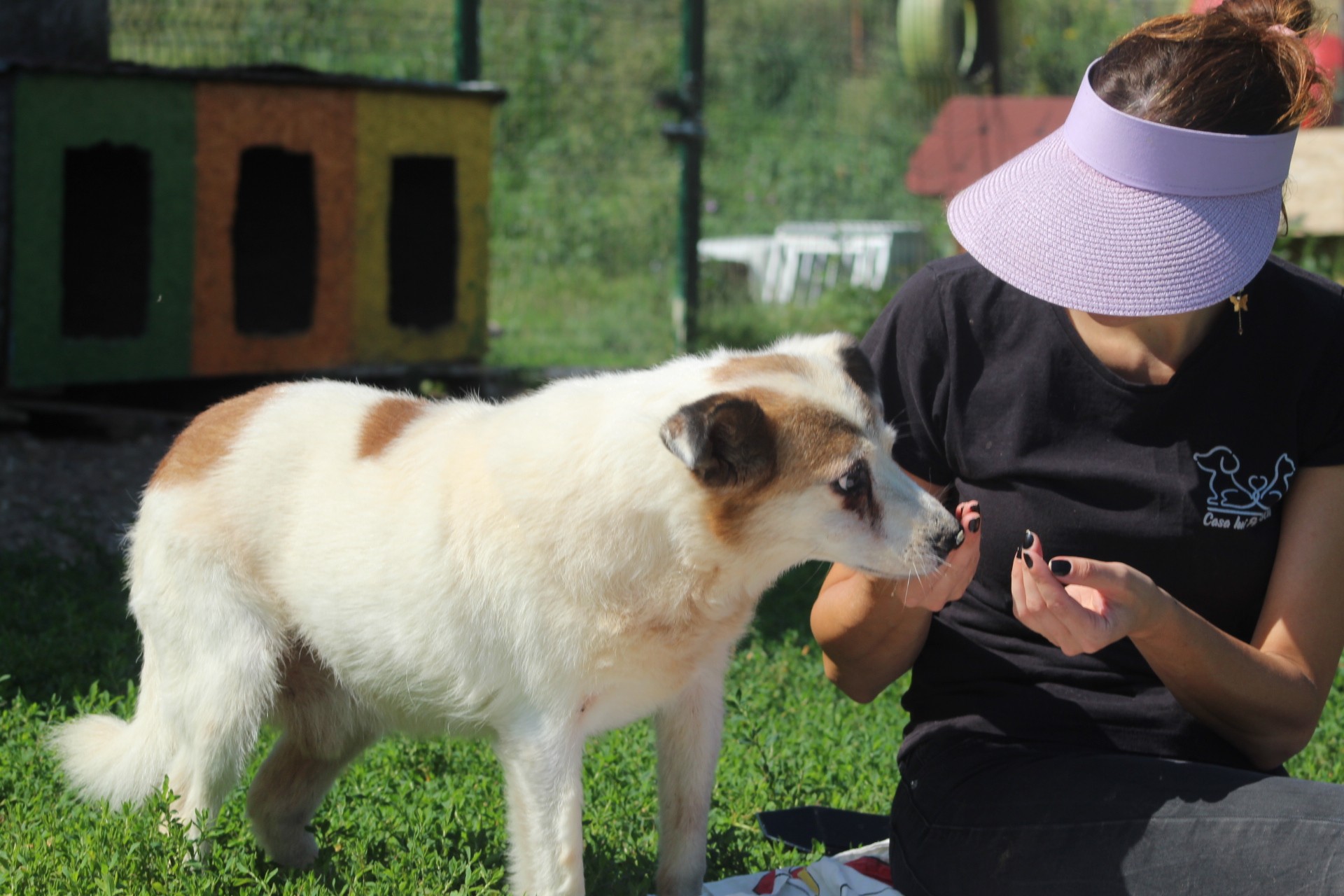 Paulo Casa lui Patrocle 5