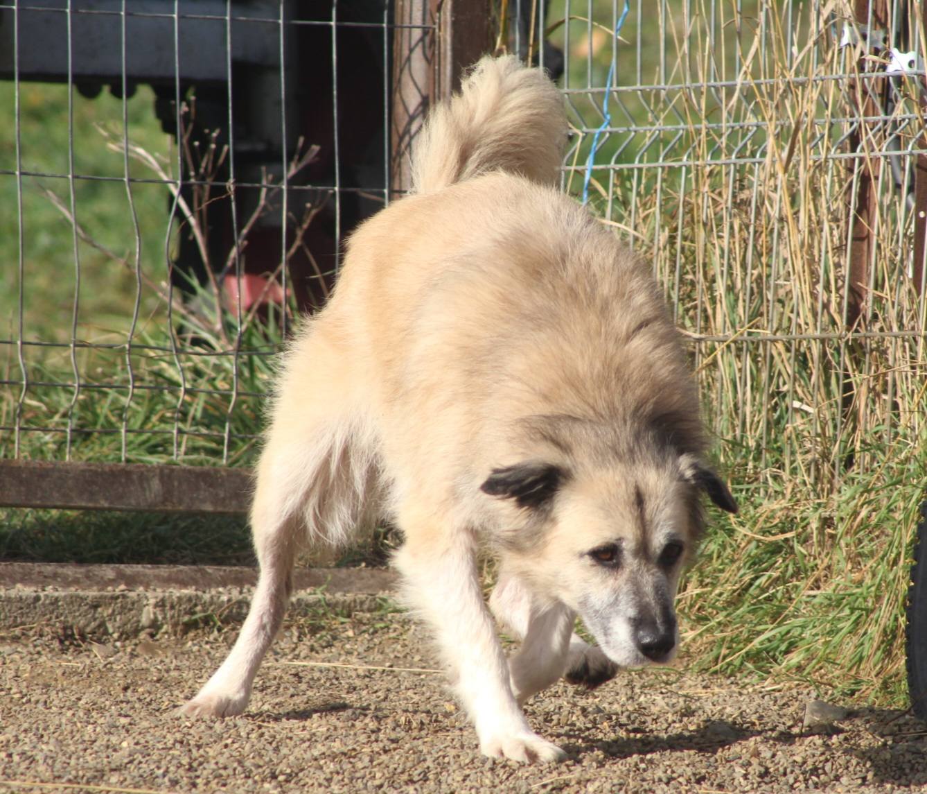 Peggy Casa lui Patrocle 2