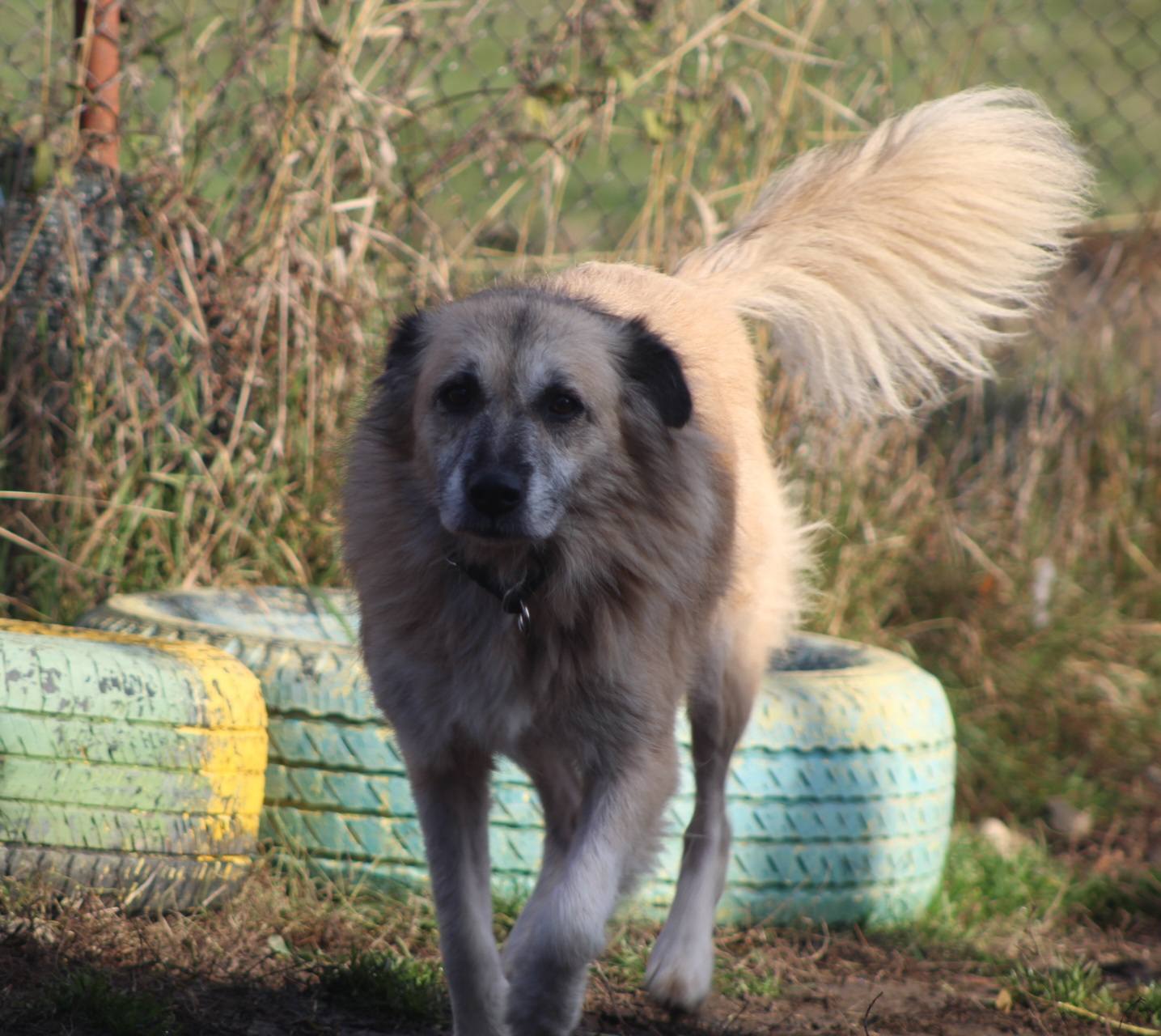 Peggy Casa lui Patrocle 4