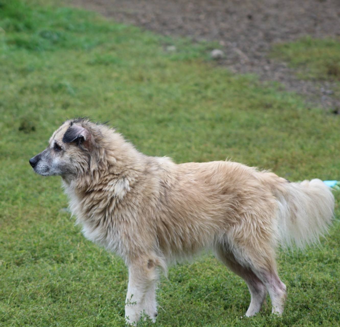 Peggy Casa lui Patrocle 5