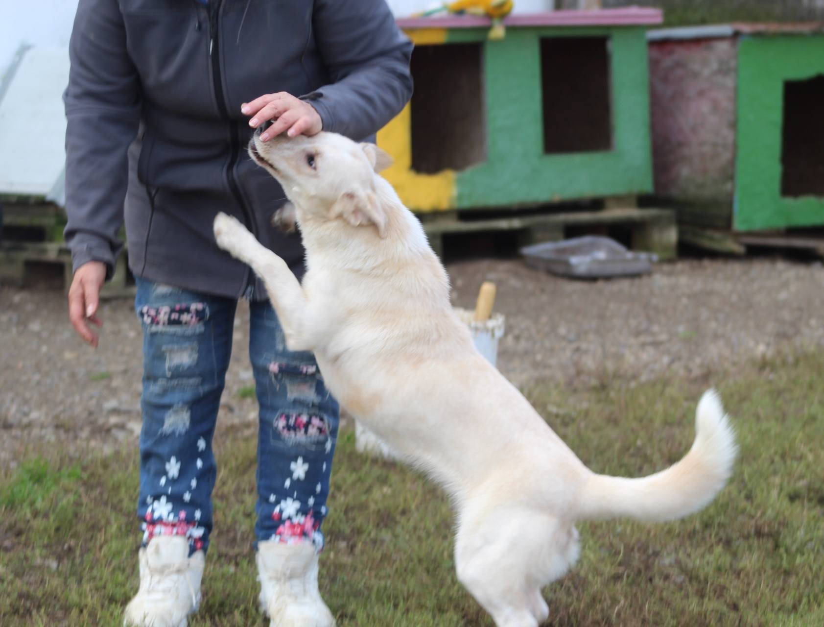 Roxy Casa lui Patrocle 3