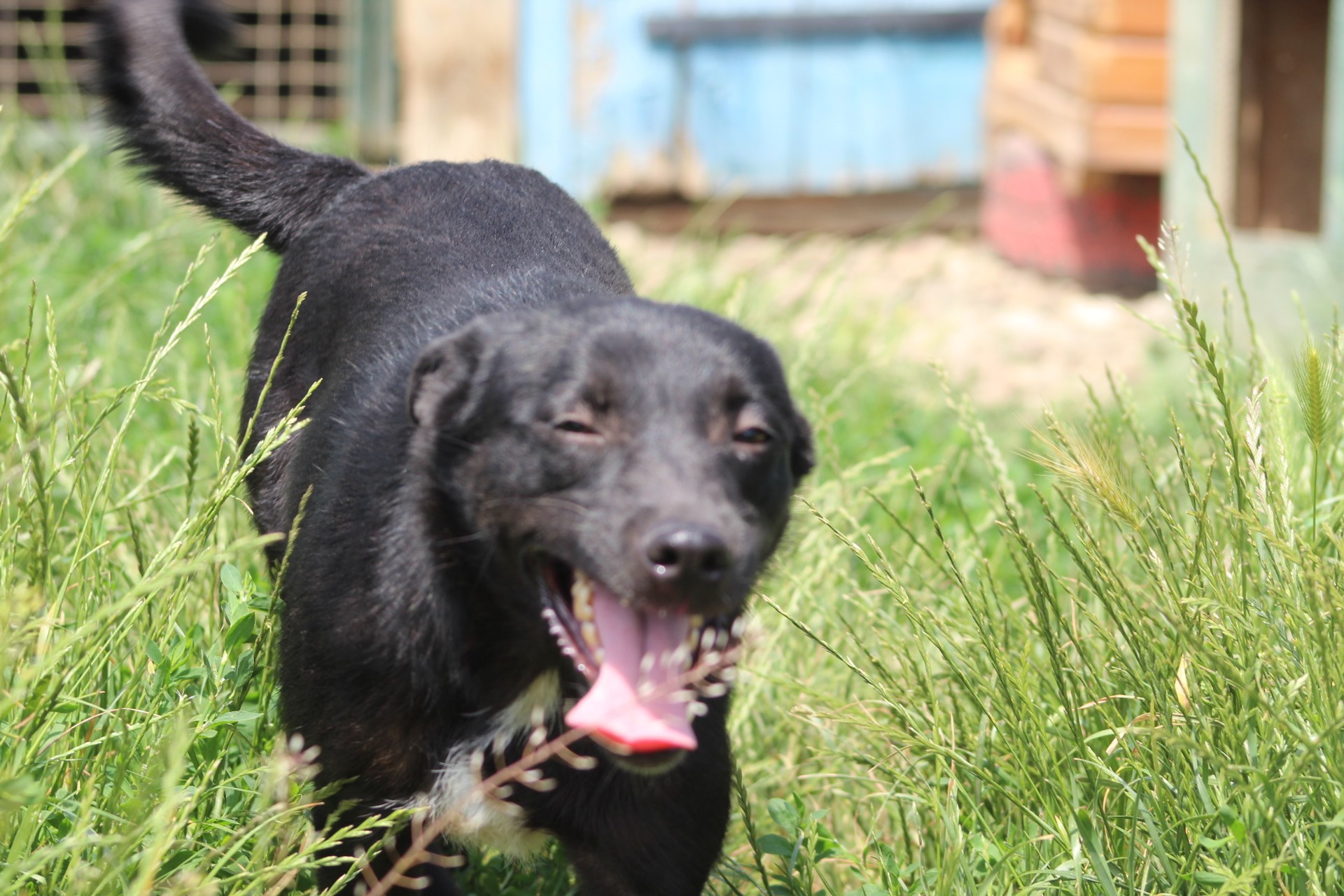 Sanziana Casa lui Patrocle 4