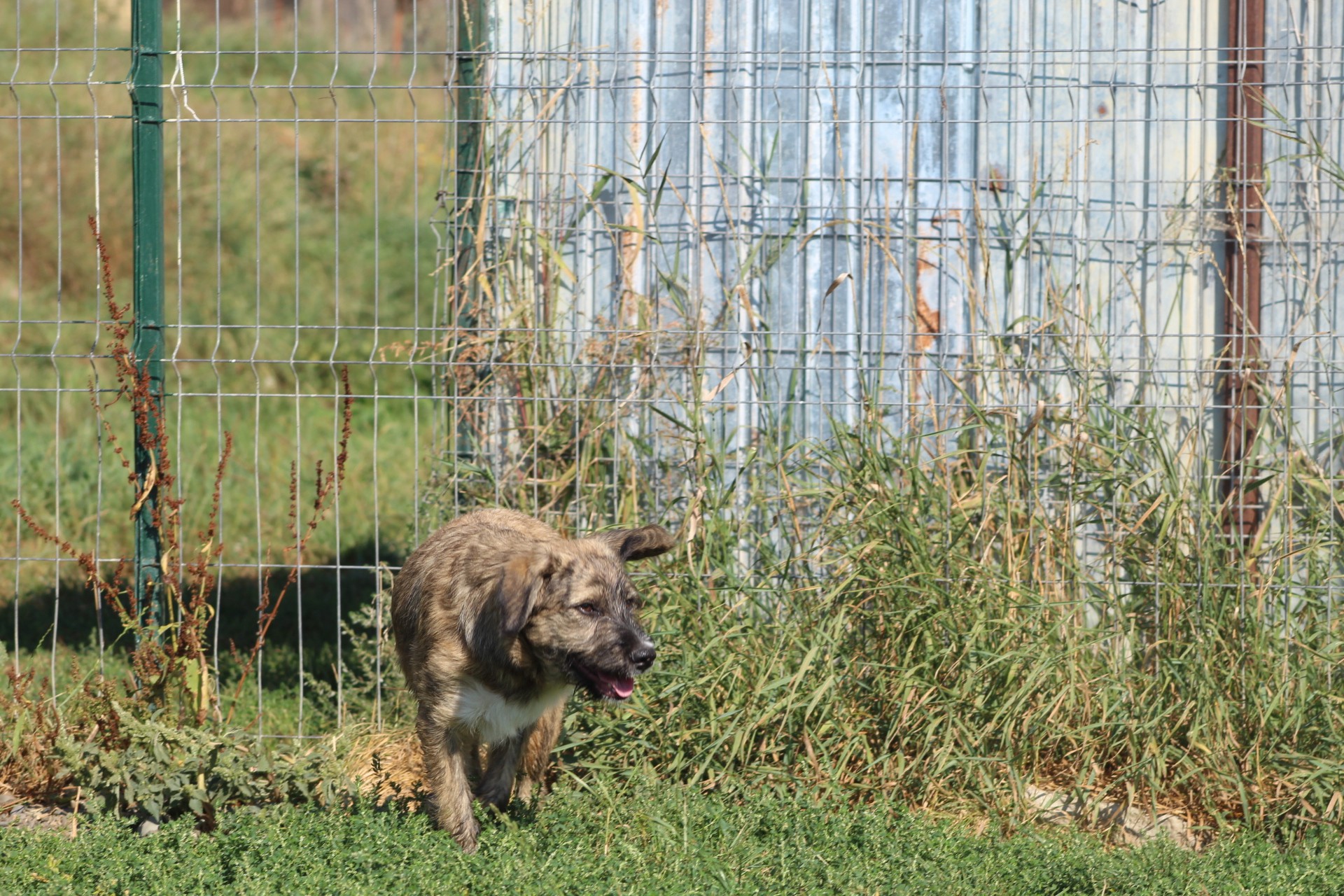 Sara Casa lui Patrocle 4