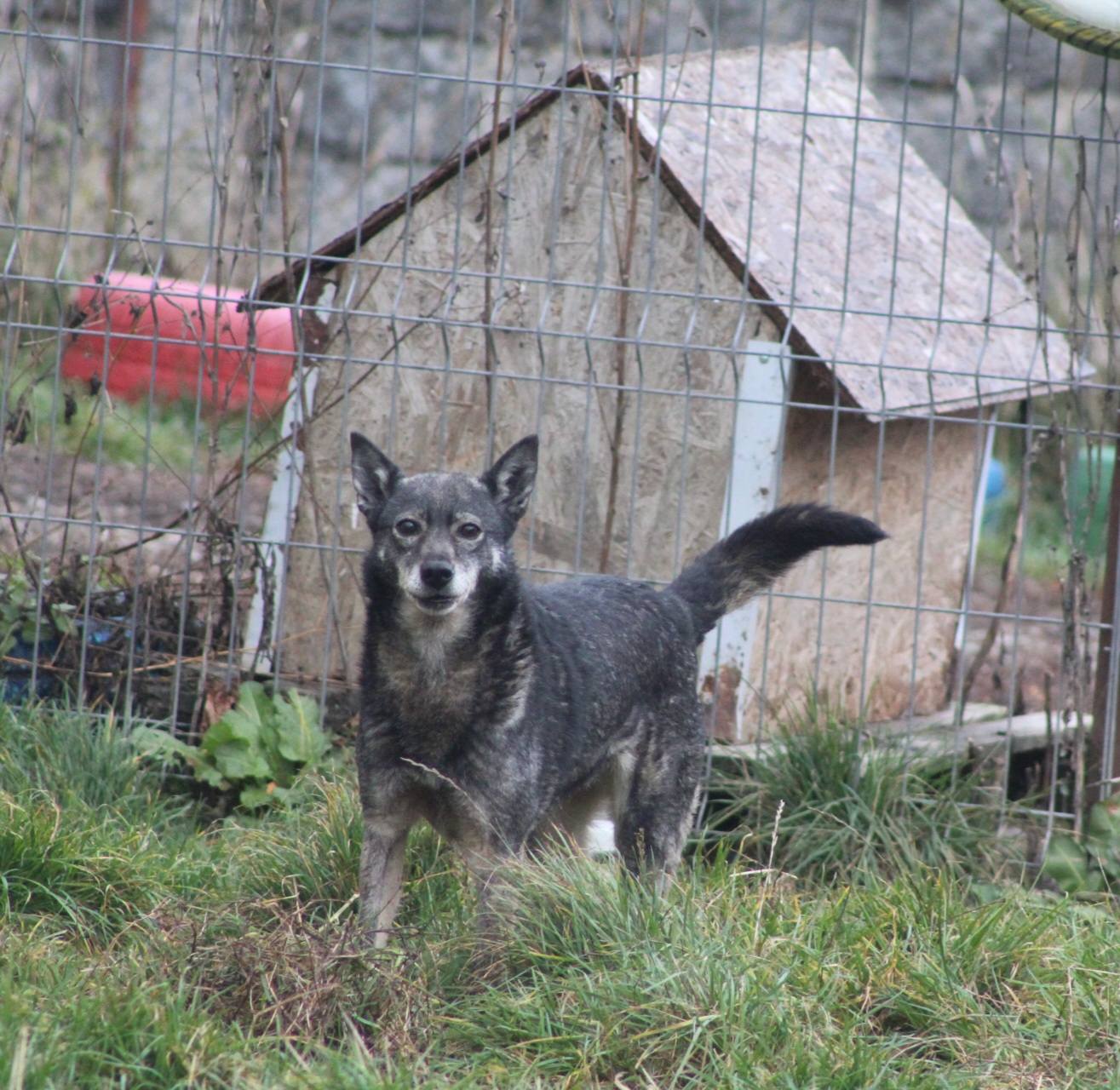 Sheila Casa lui Patrocle 2