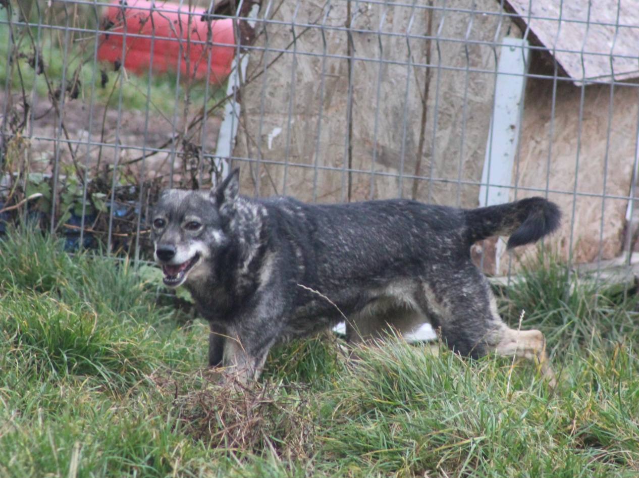 Sheila Casa lui Patrocle 3