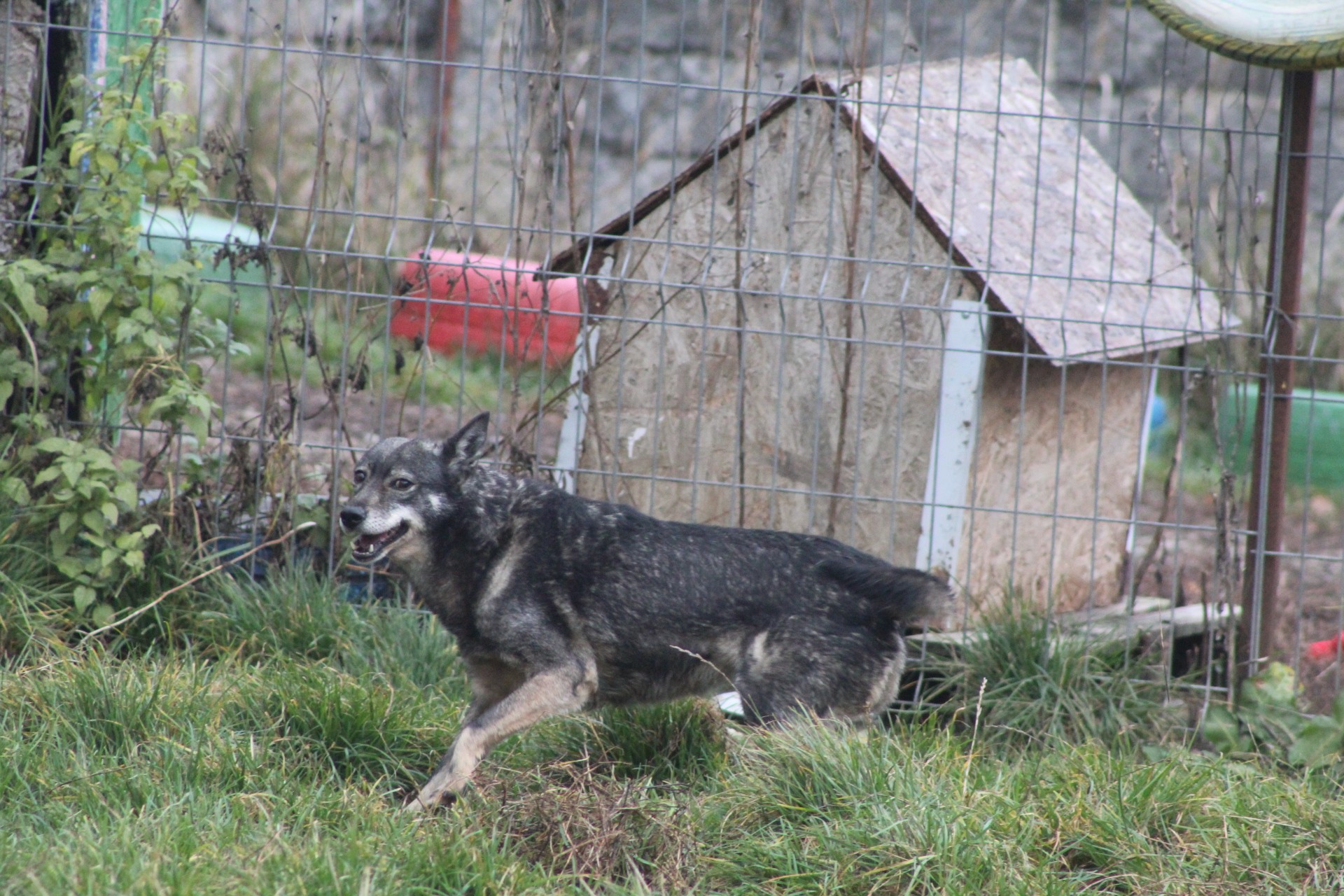 Sheila Casa lui Patrocle 4