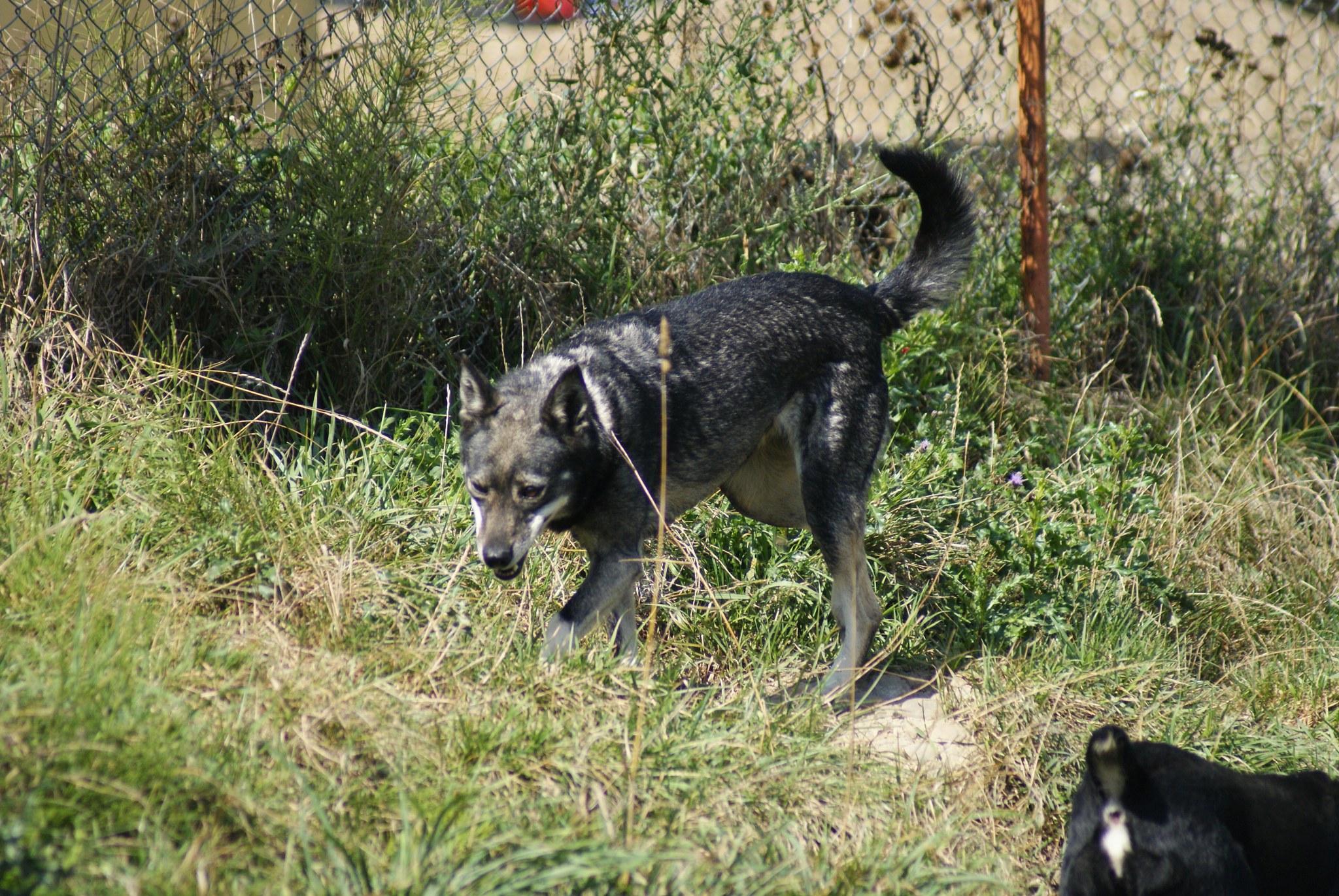 Sheila Casa lui Patrocle 5