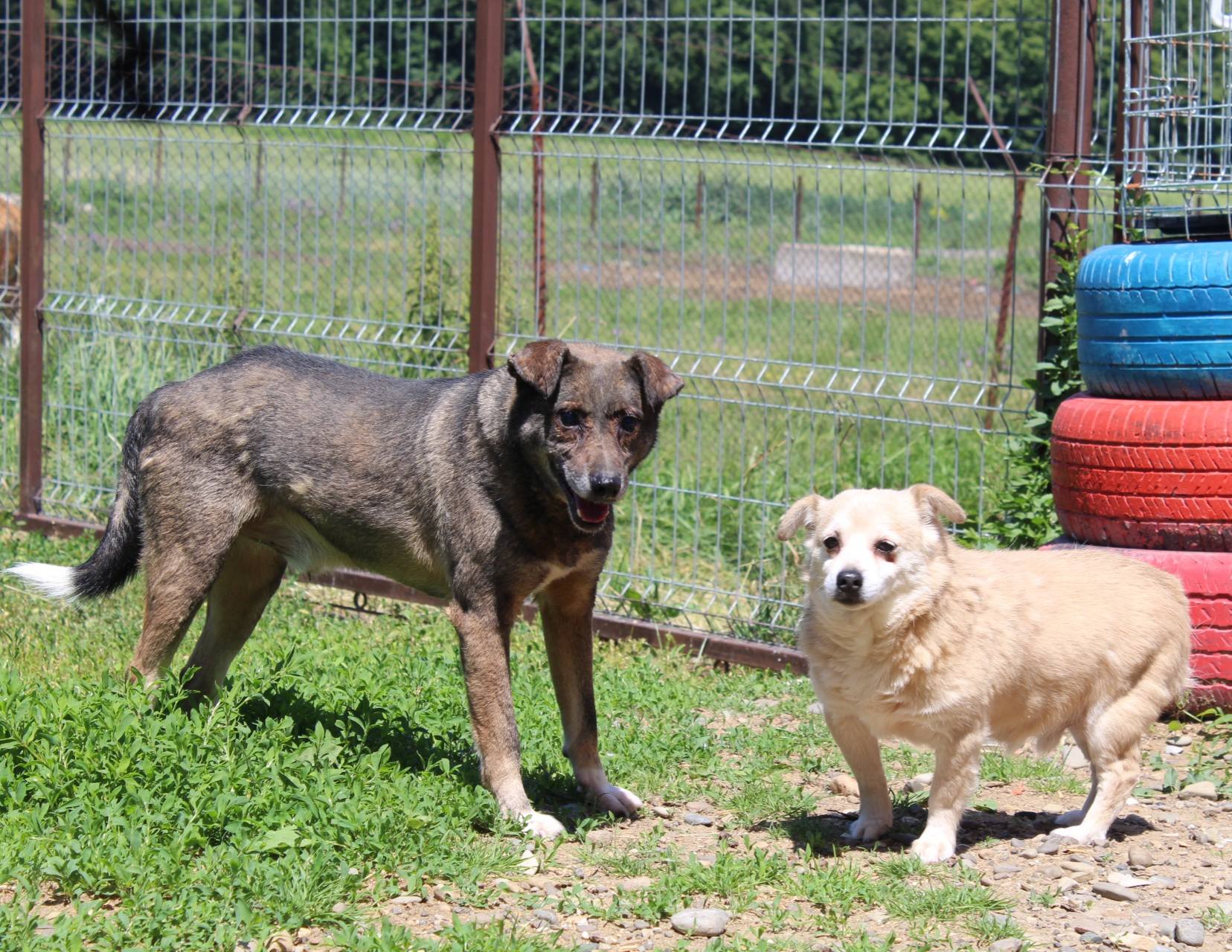 Sherlock Casa lui Patrocle 3