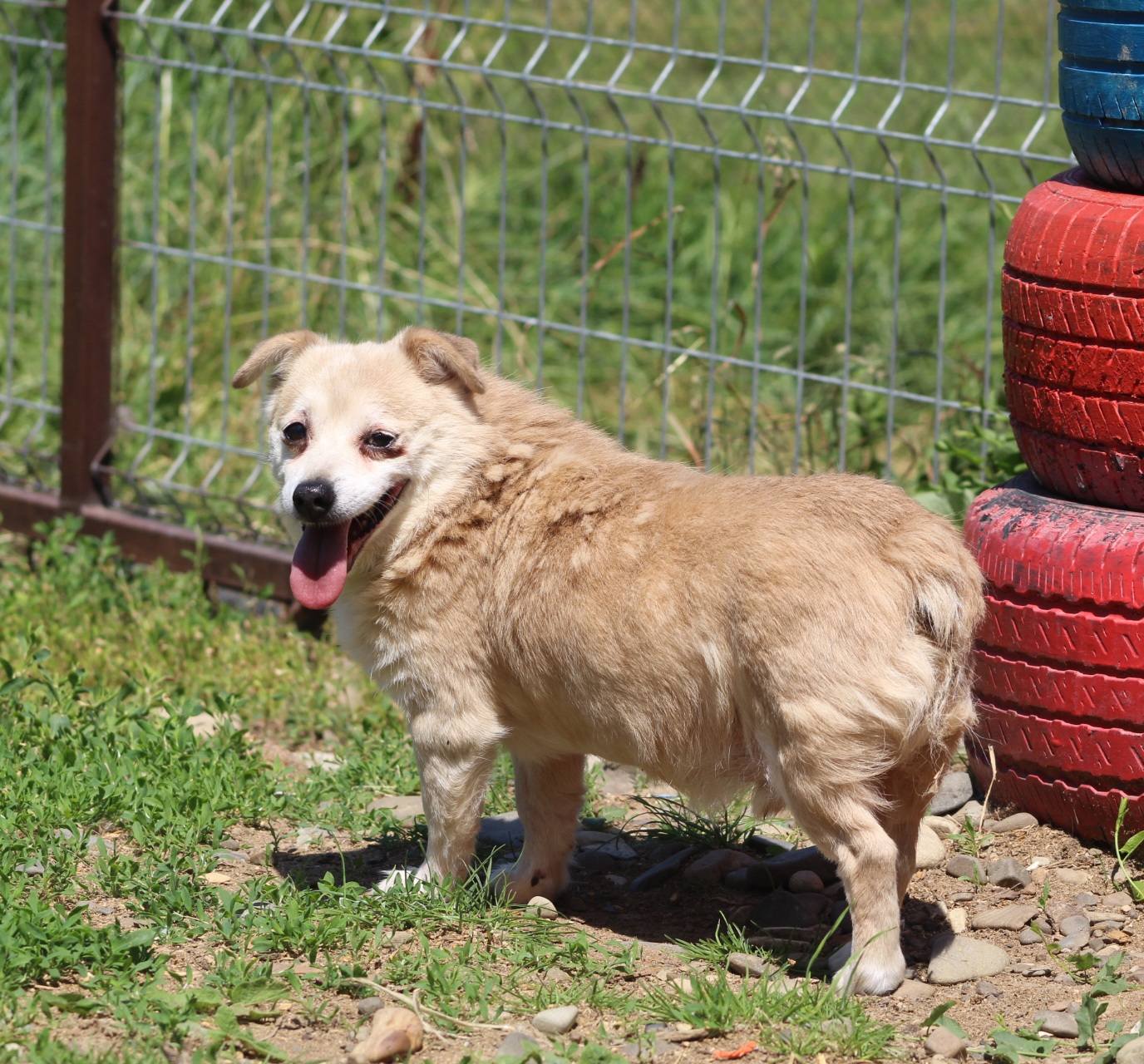 Sherlock Casa lui Patrocle 4