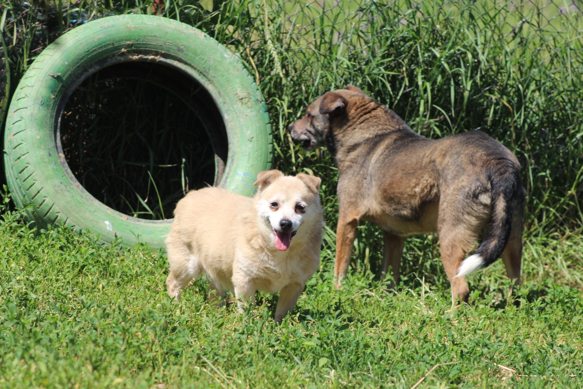 Sherlock Casa lui Patrocle 6