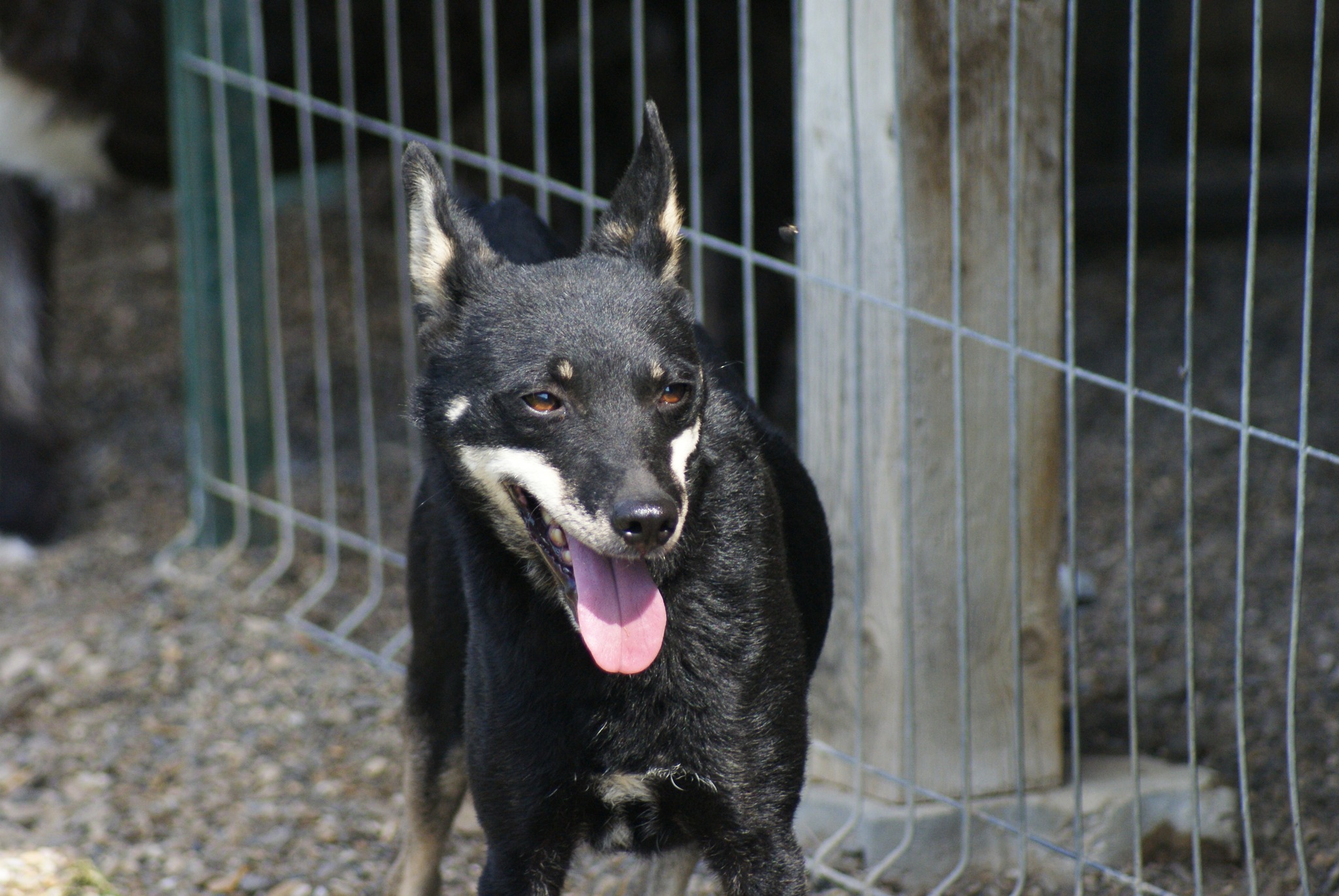 Shy Casa lui Patrocle 6