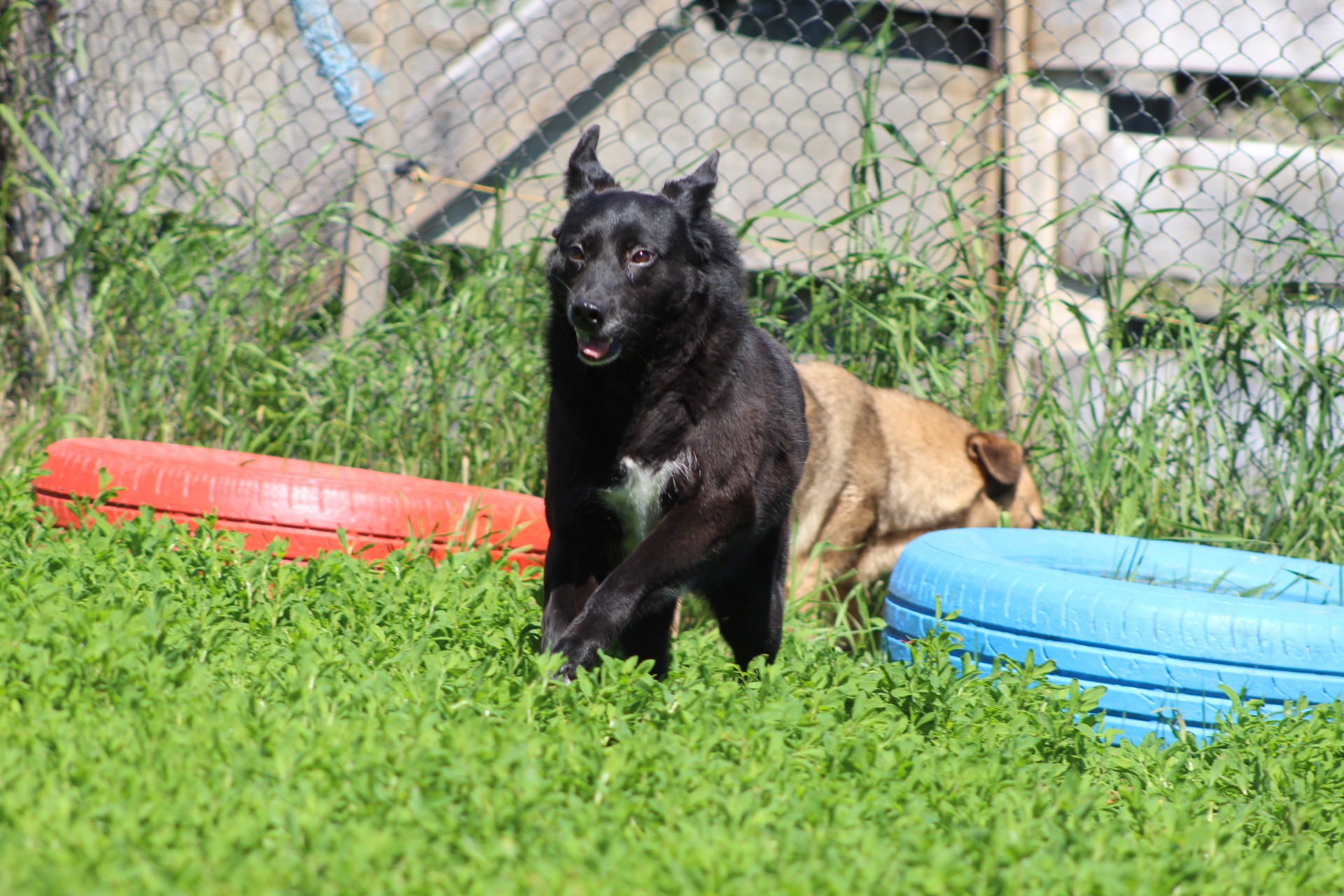 Simina Casa lui Patrocle 4