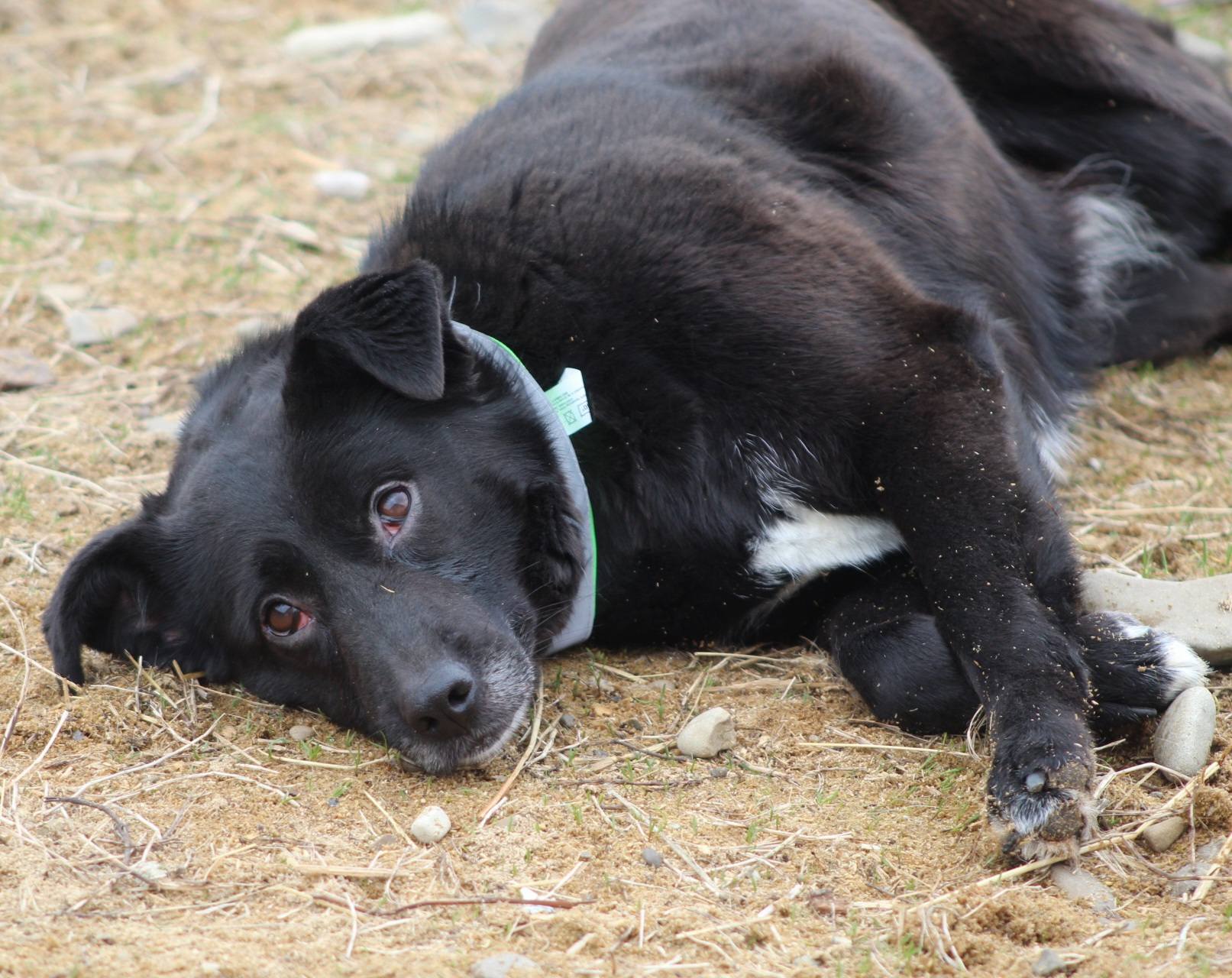 Simina Casa lui Patrocle 5