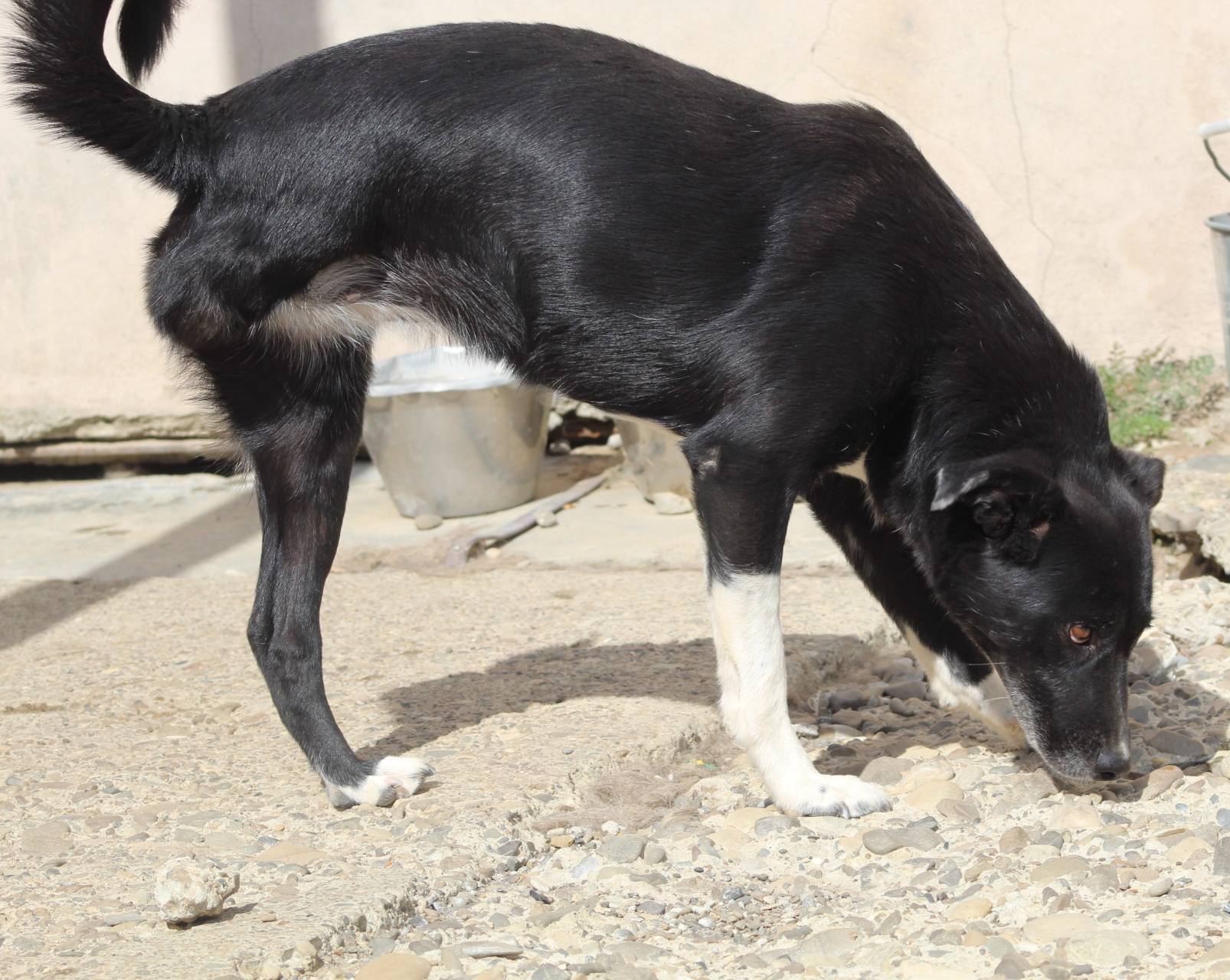 Suzy Casa lui Patrocle 5