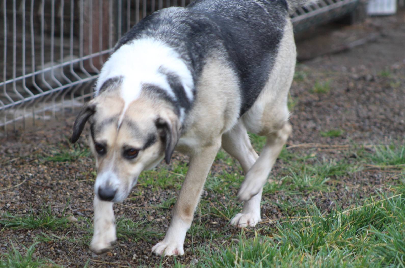 Tabea Casa lui Patrocle 3