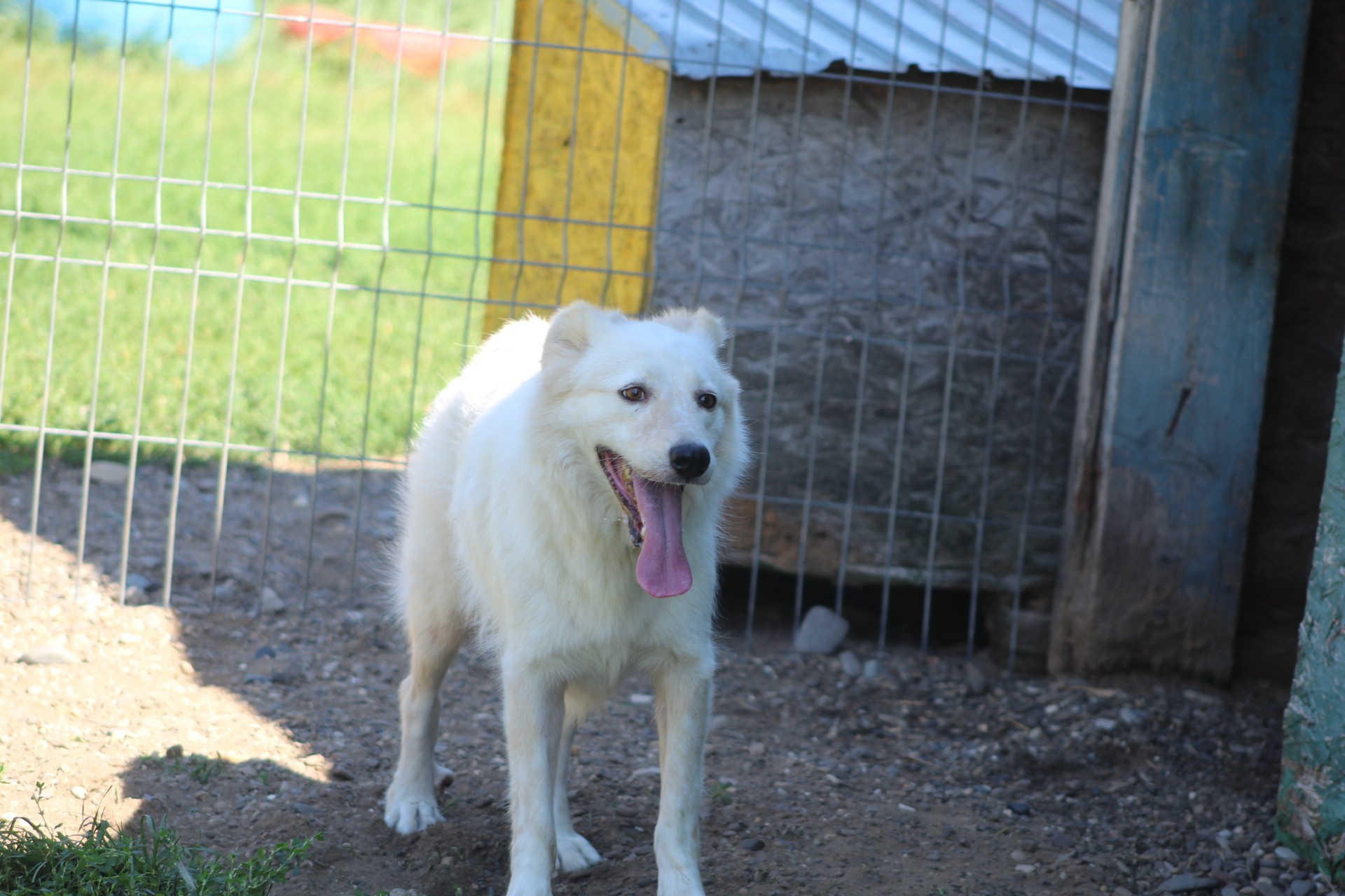 Tim Casa lui Patrocle 2