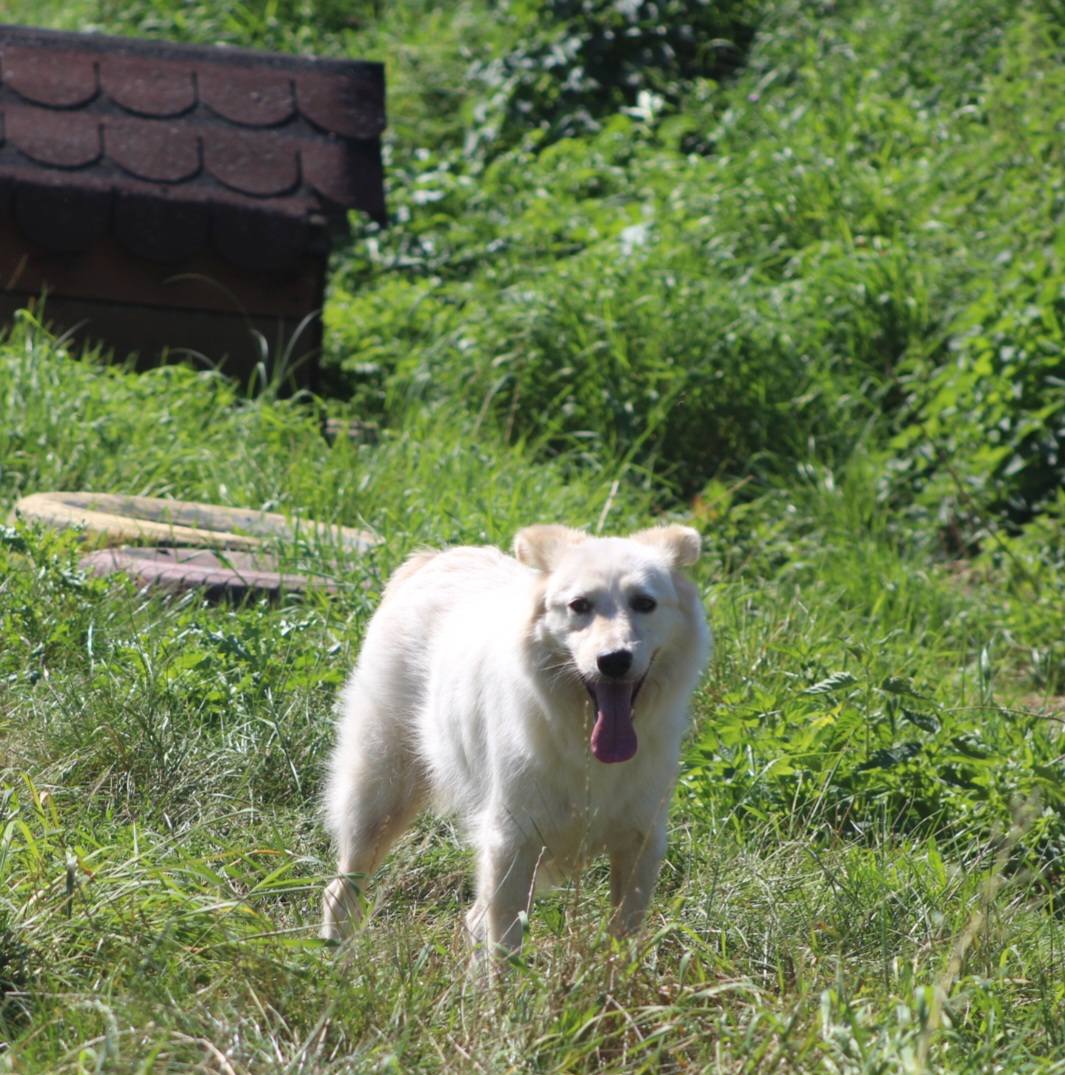 Tim Casa lui Patrocle 3