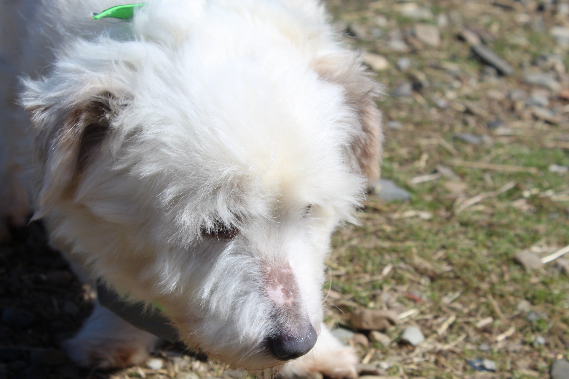 Tommy Casa lui Patrocle 6