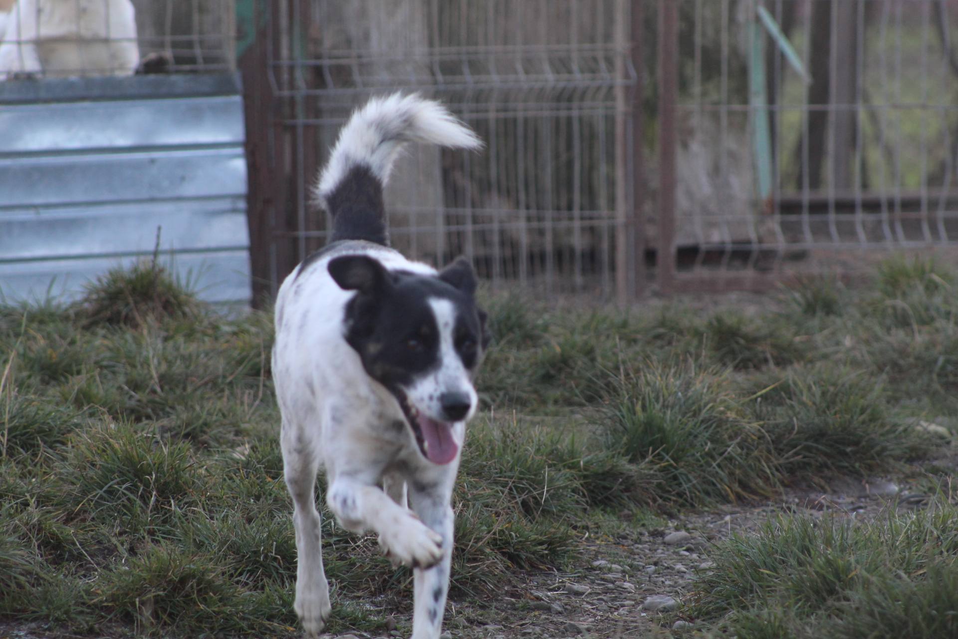 Victoria Casa lui Patrocle 3